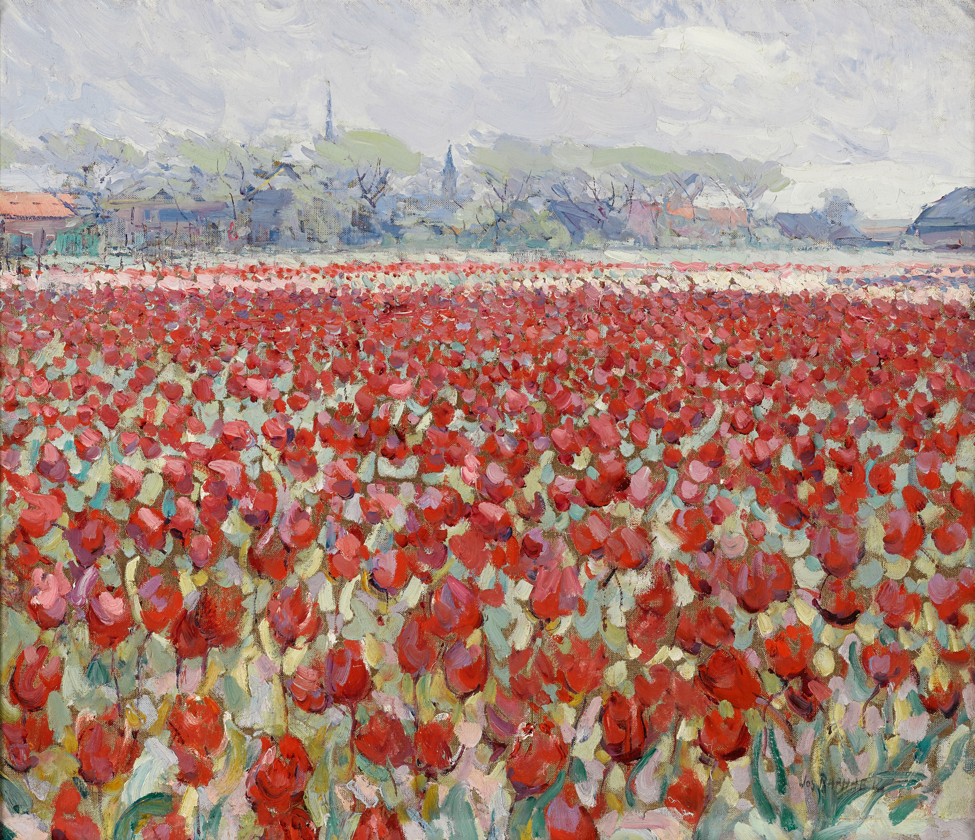 Tulip Field