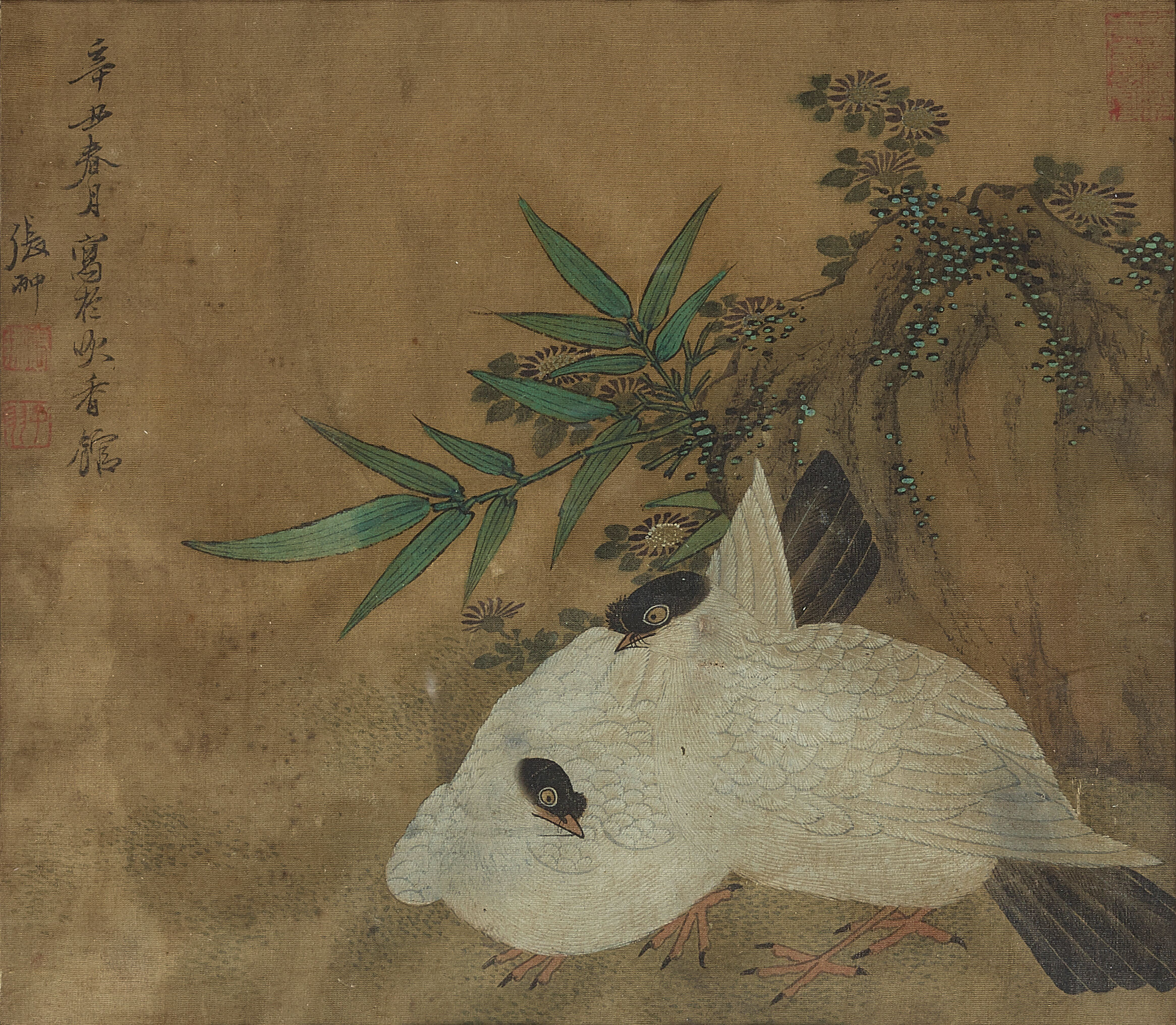 Anonymous Quails