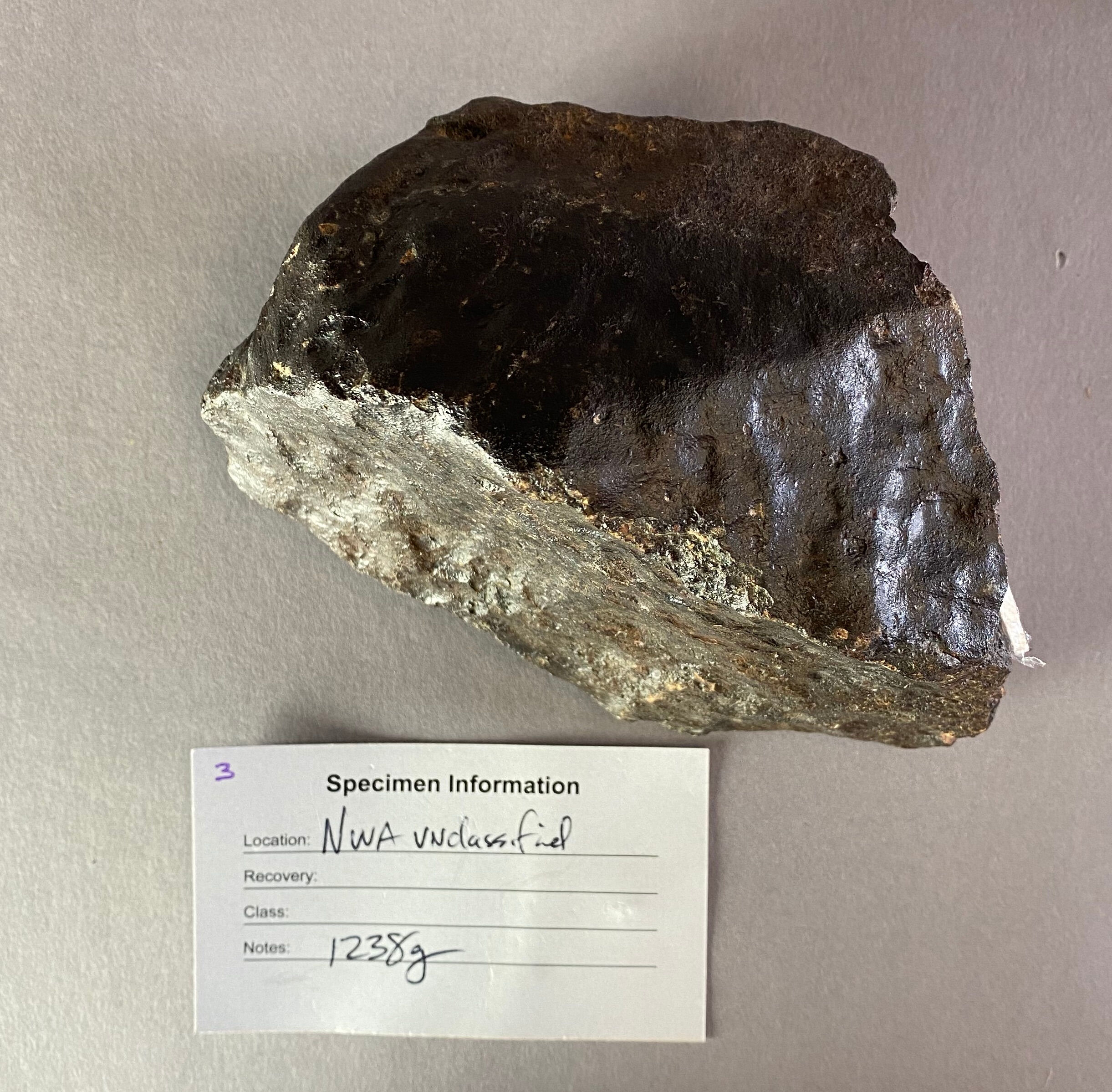 Bonhams : Unclassified Stony Meteorite from Northwest Africa
