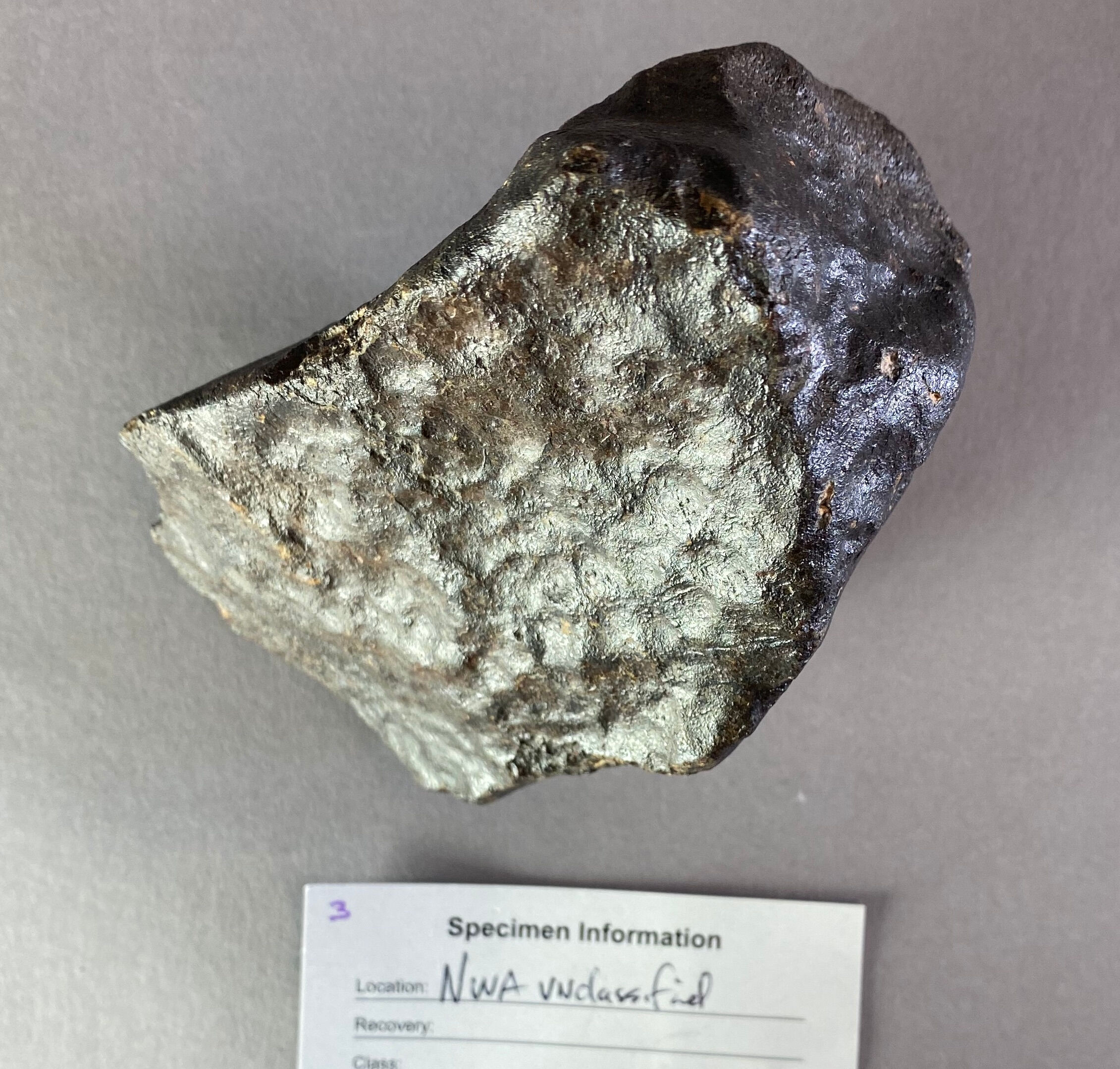Bonhams : Unclassified Stony Meteorite from Northwest Africa