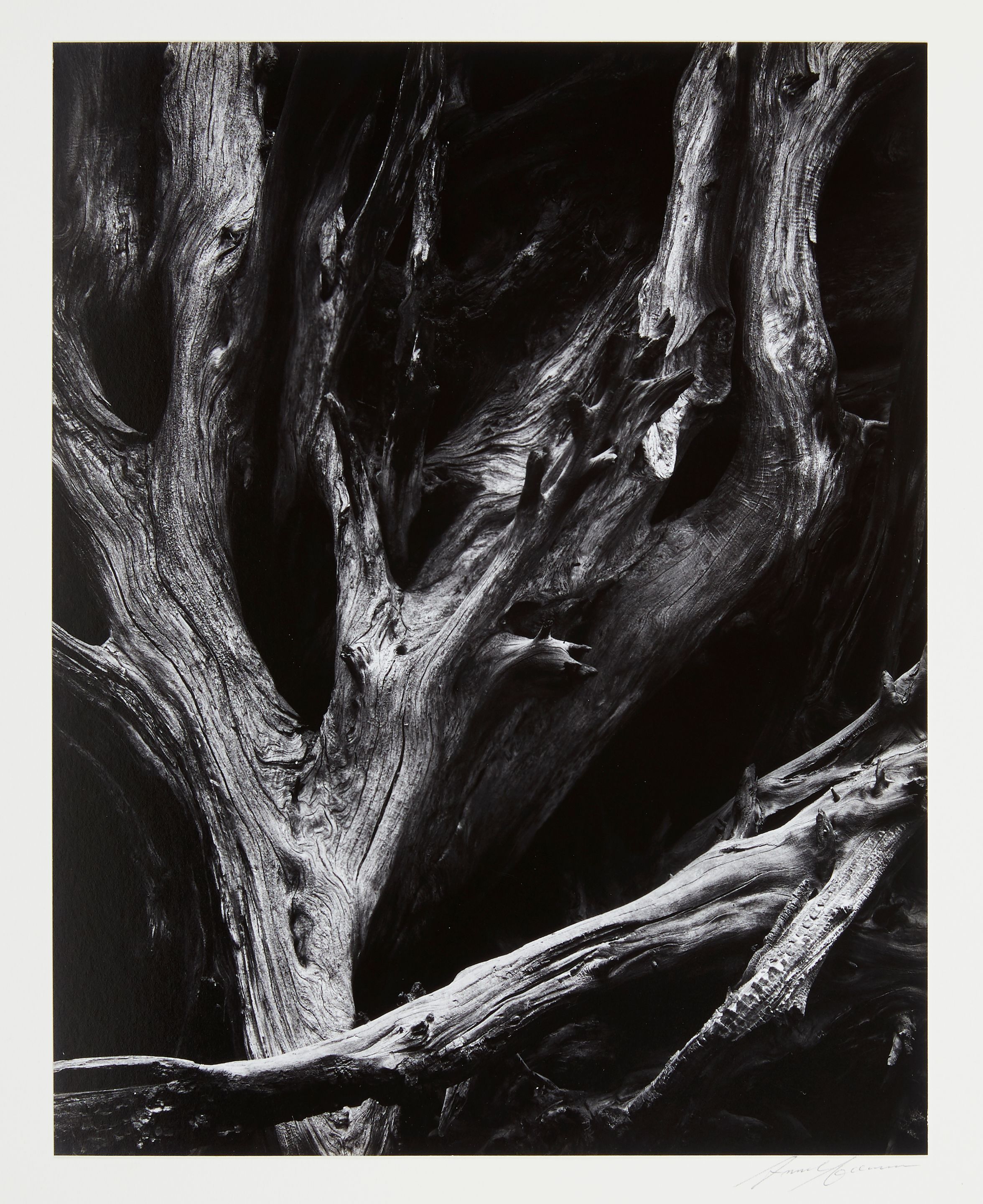 Portfolio IV: What Majestic Word, In Memory of Russell Varian