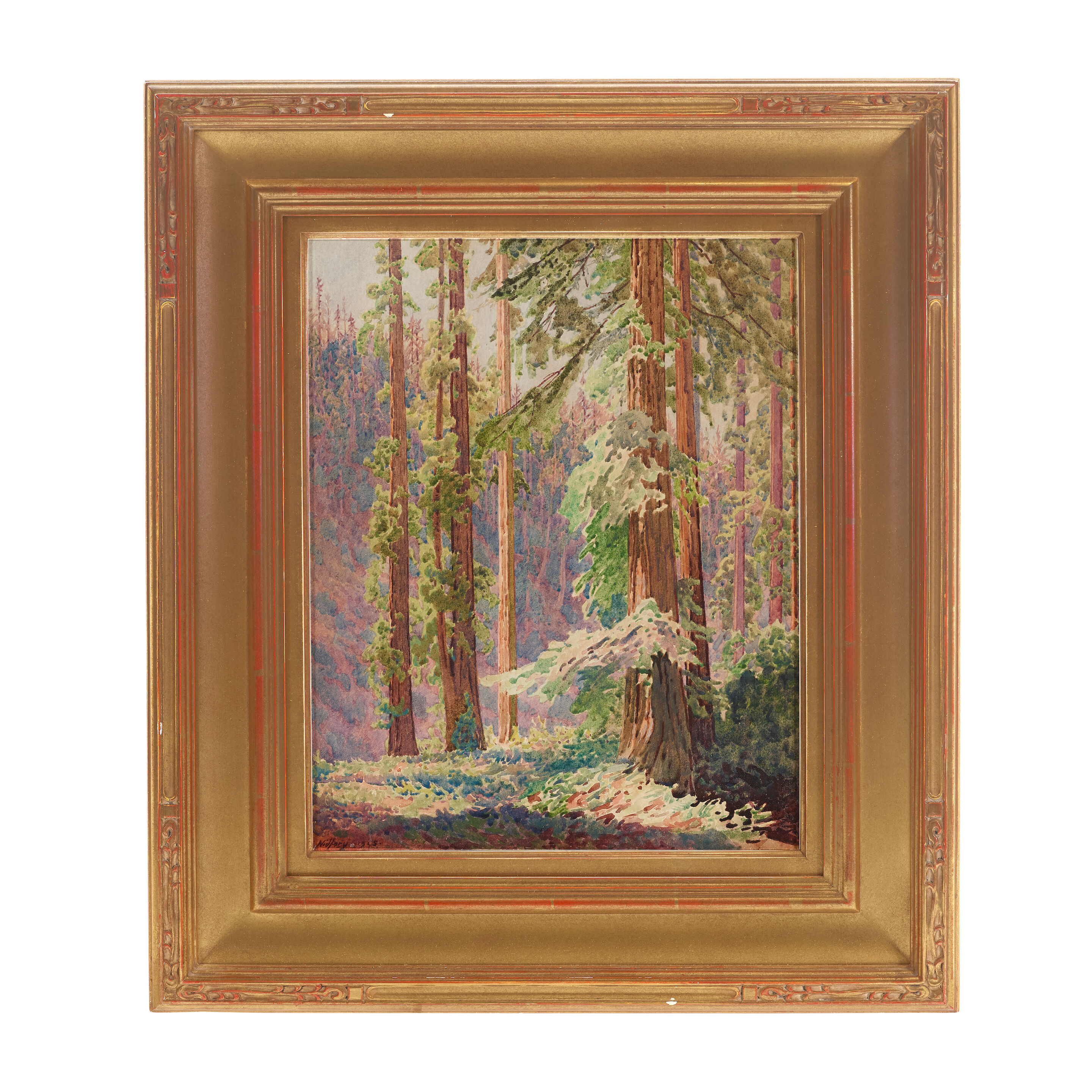 Redwoods - Thumb 2