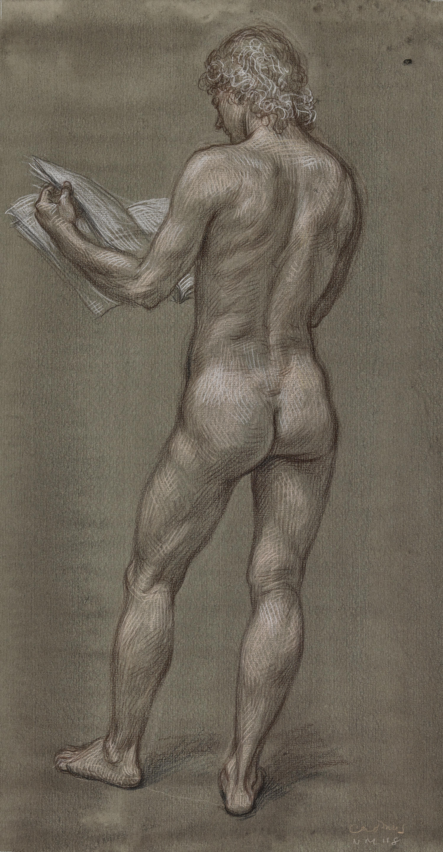 Bonhams : Paul Cadmus (1904-1999) Male Nude (NM 118) image, 19 x 10in (48.3  x 25.4cm); sheet, 20 1/8 x 12 1/4in (51.1 x 31.1cm)