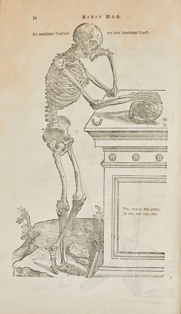 Bonhams : [VESALIUS, ANDREAS. 1514-1564.] Anatomische Erklaerung der ...