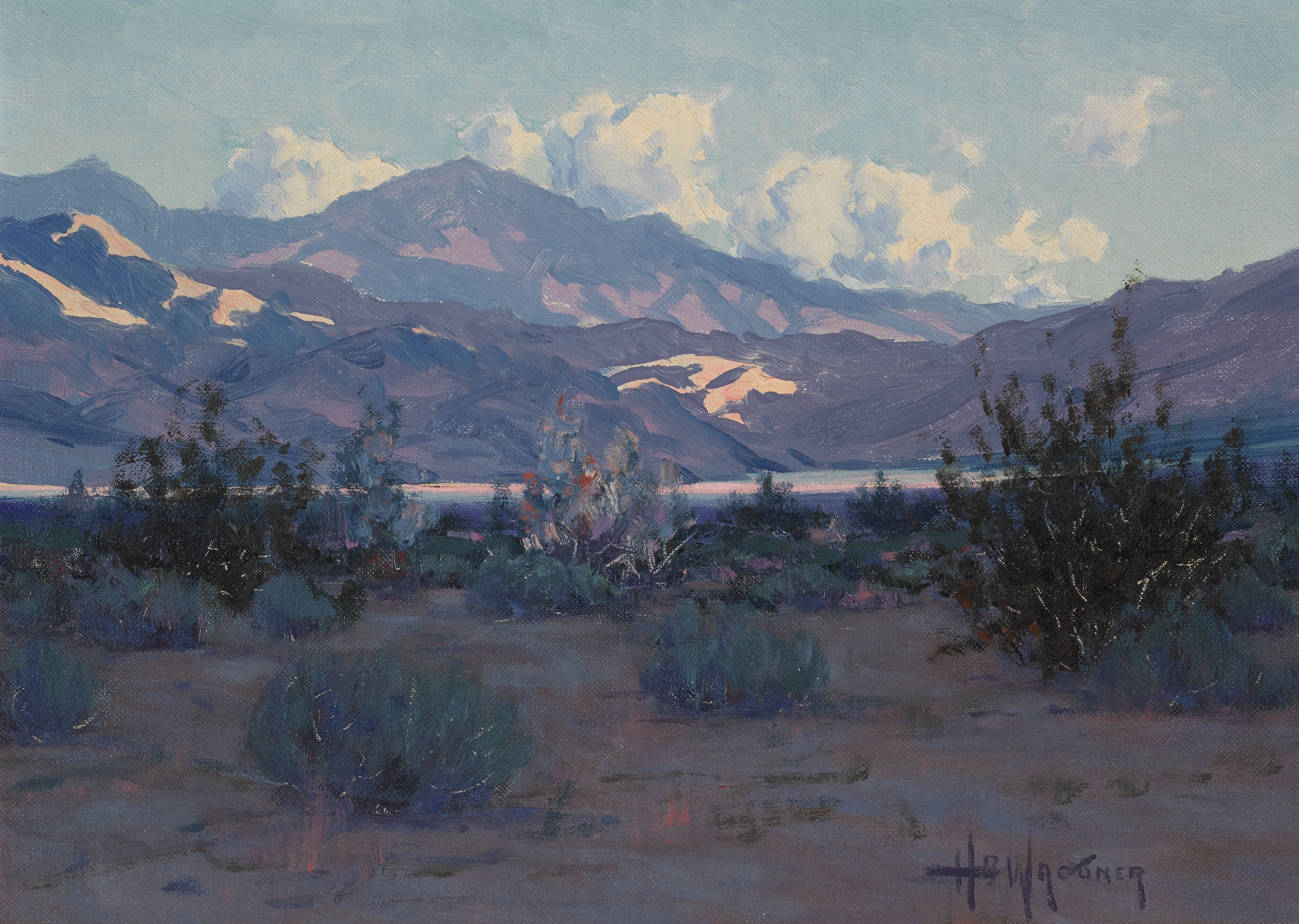 Desert Landscape