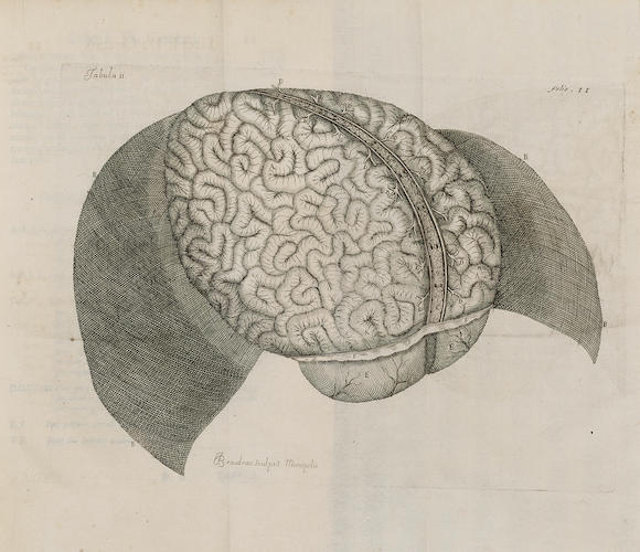 Bonhams : VIEUSSENS, RAYMOND DE. 1641-1715. Neurographia universalis ...