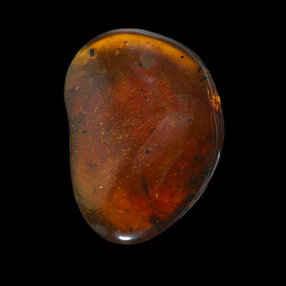 Bonhams : Exceptional Large Amber Specimen with Spider, Millipede, Beetles