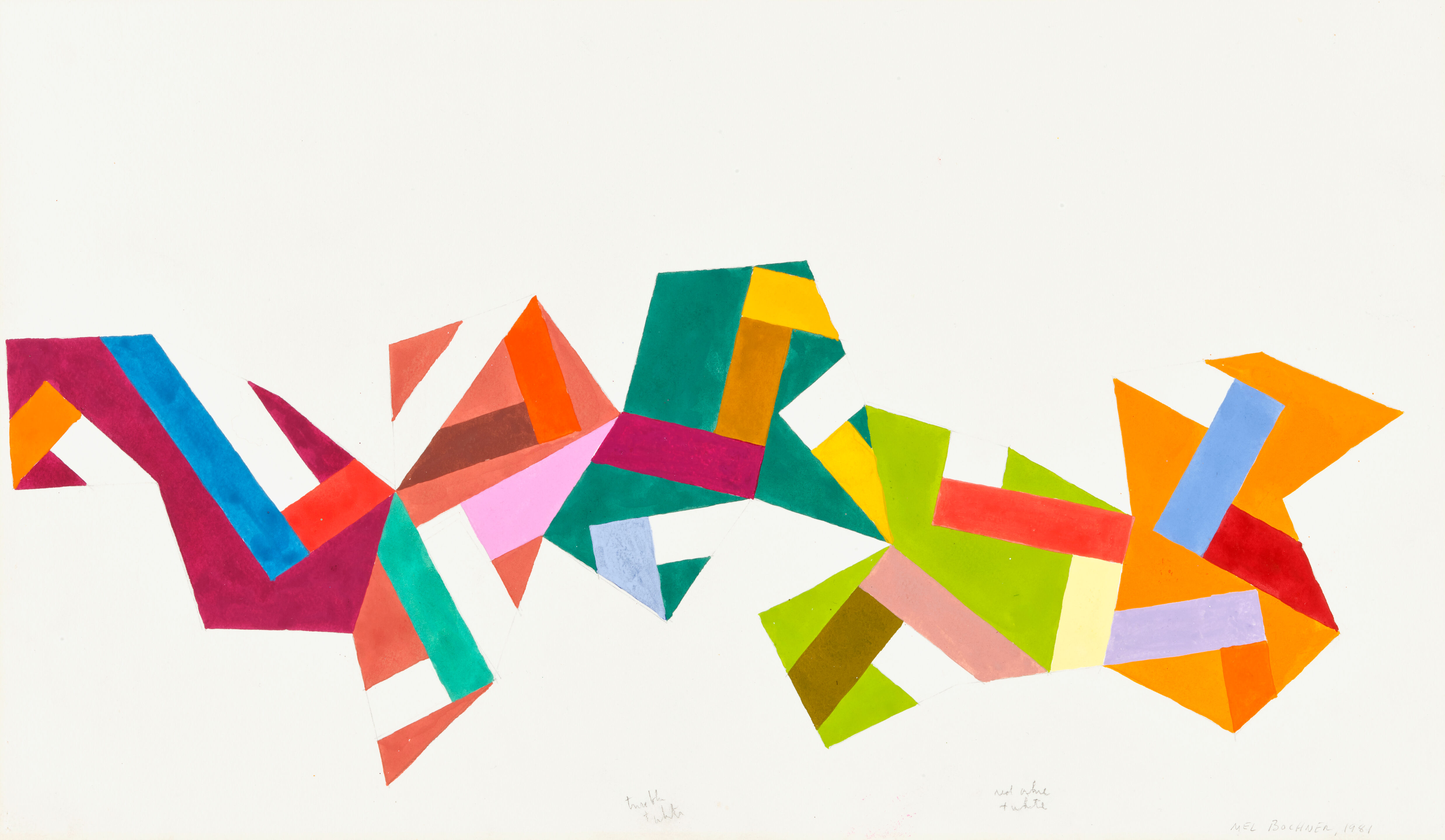 Segment Study