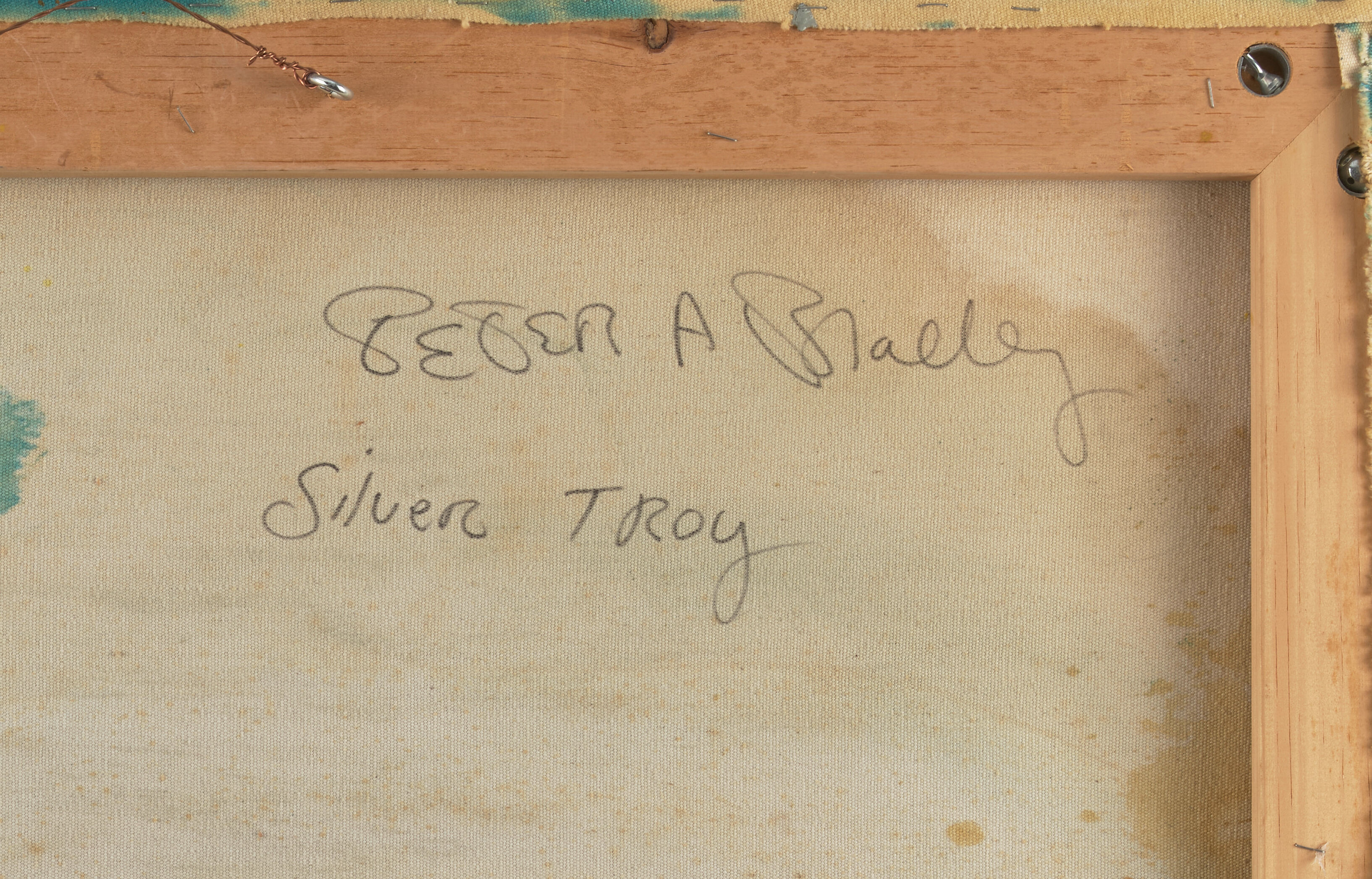 Silver Troy - Thumb 3