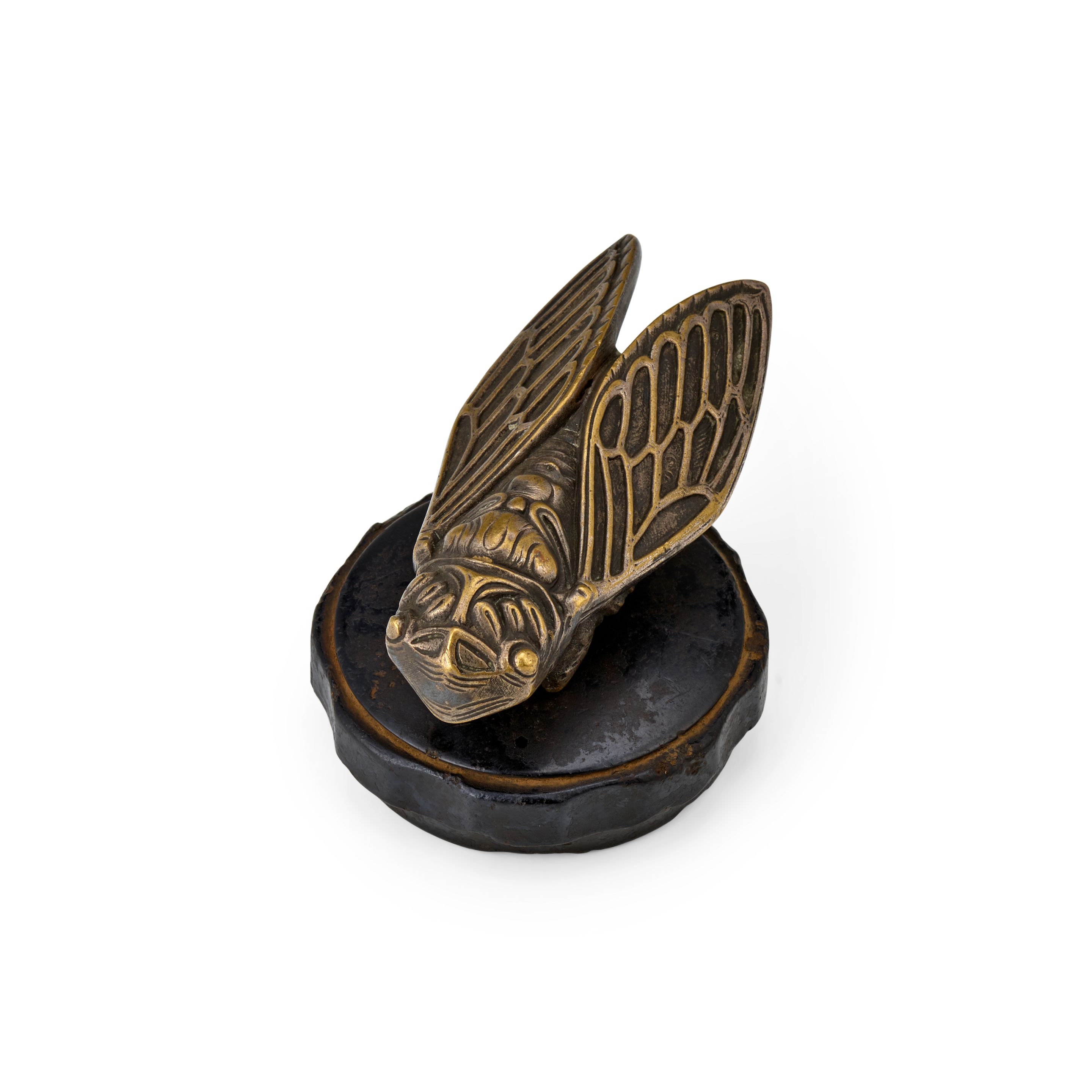 A "Cicada" mascot,
