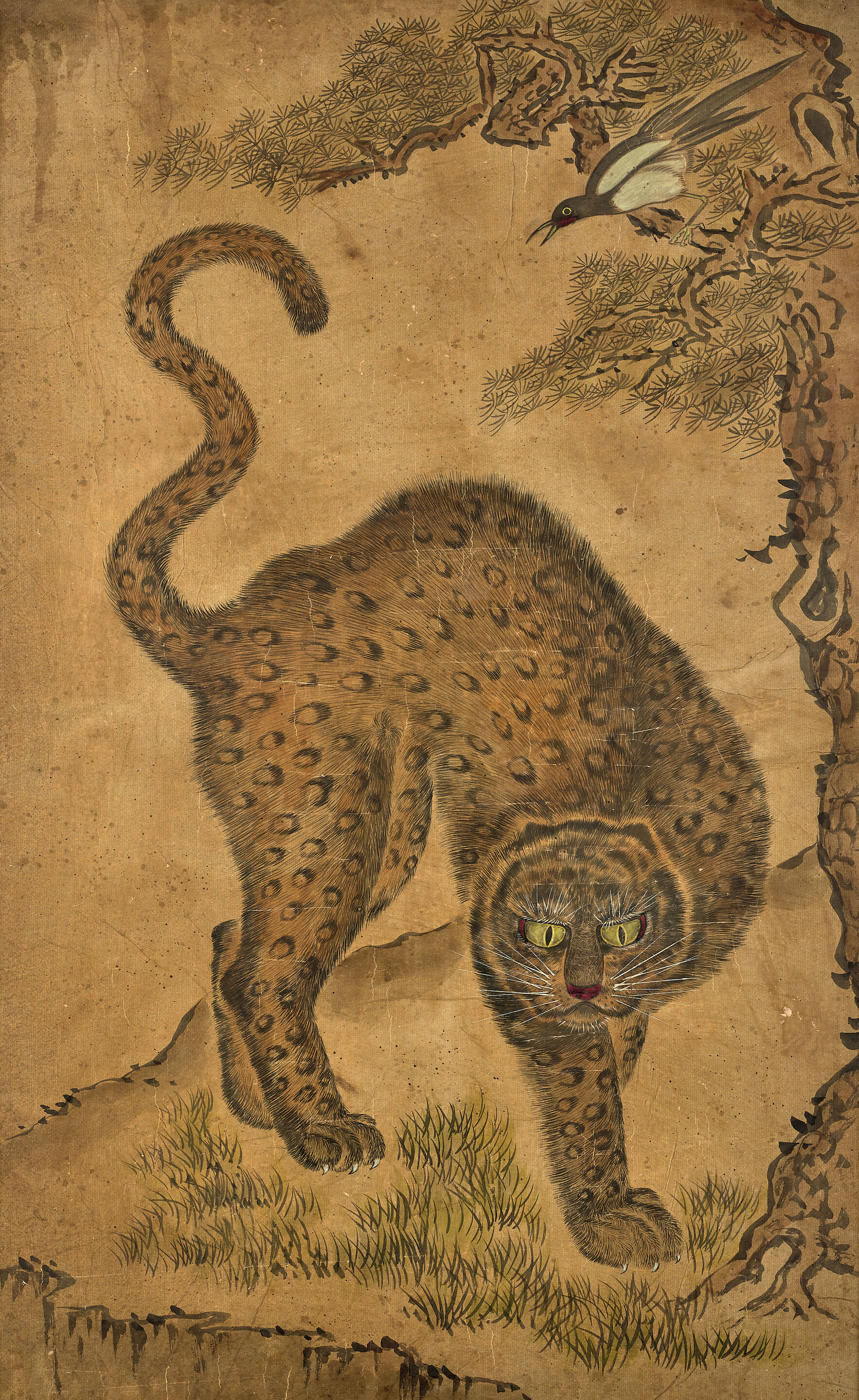 Leopard and Magpie