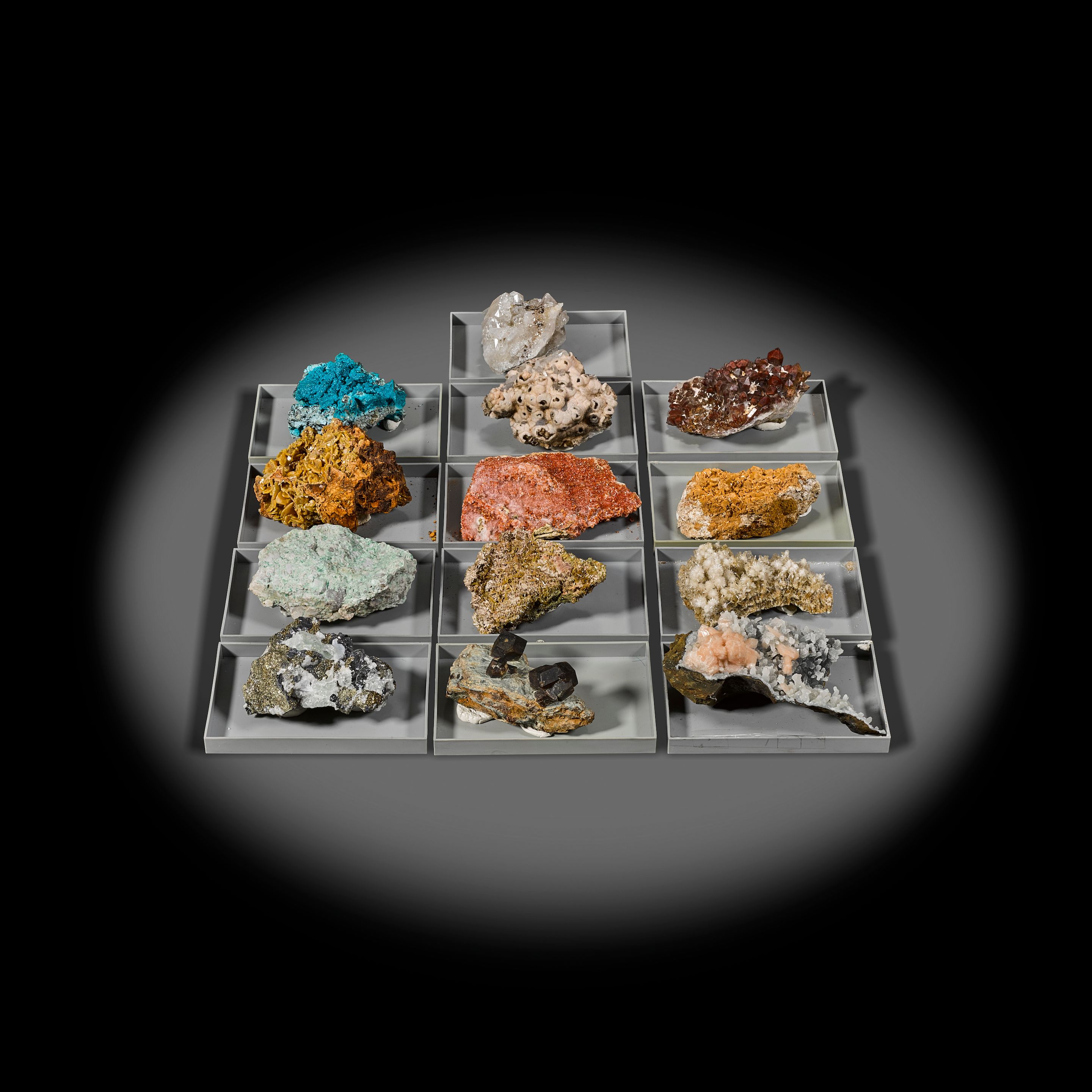 Thirteen Mid-Sized Cabinet Specimens