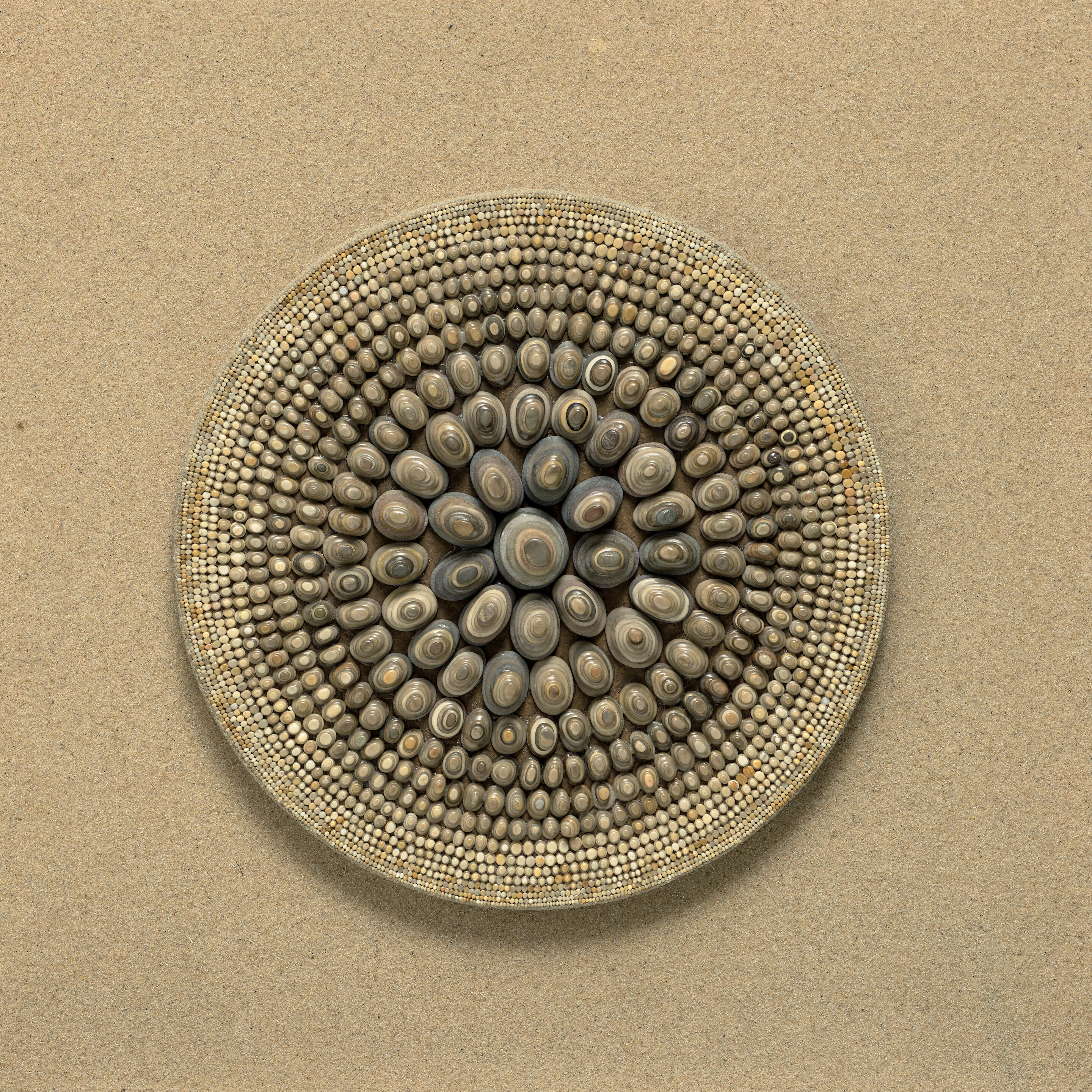 Mandala - Thumb 2