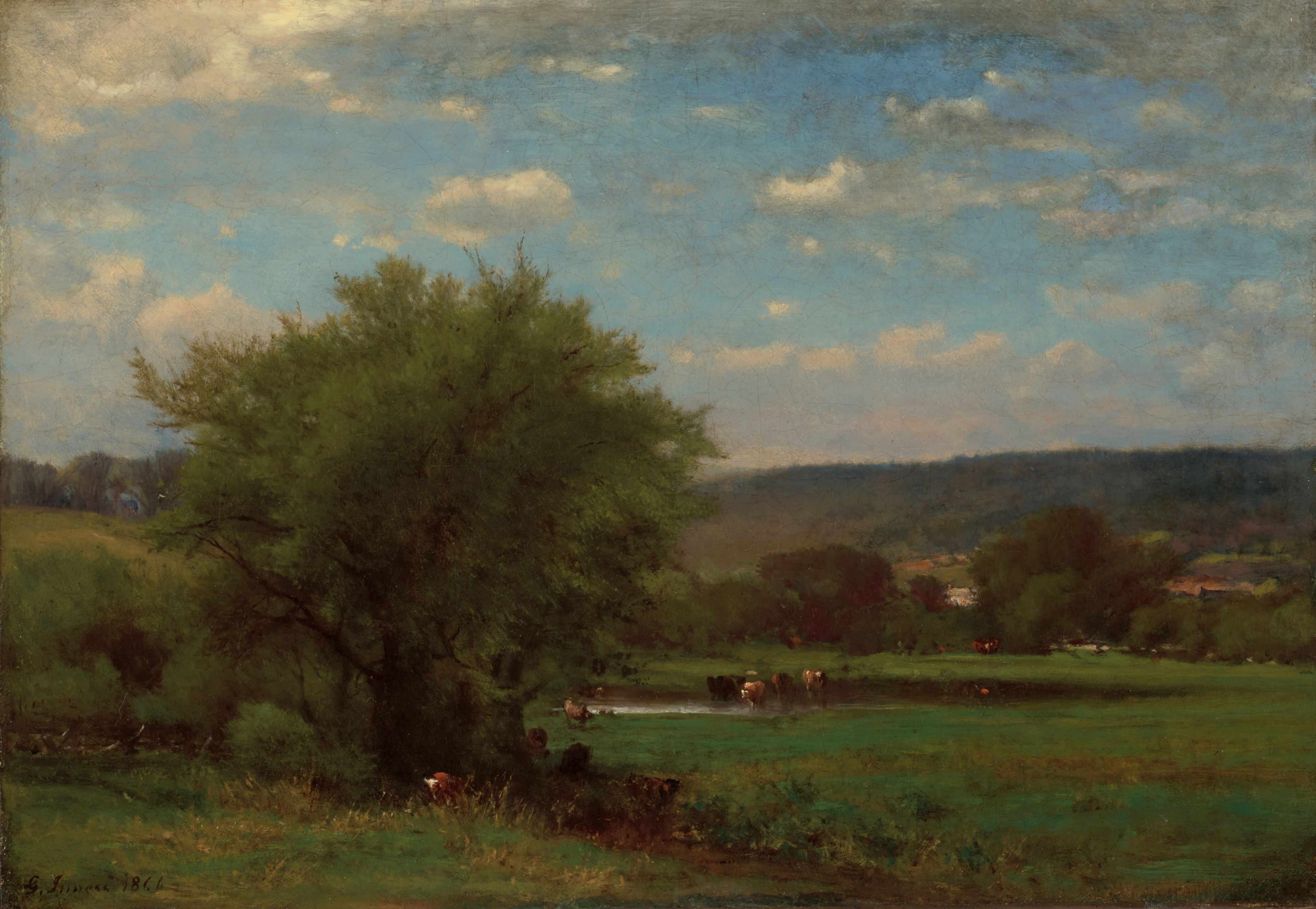 Landscape