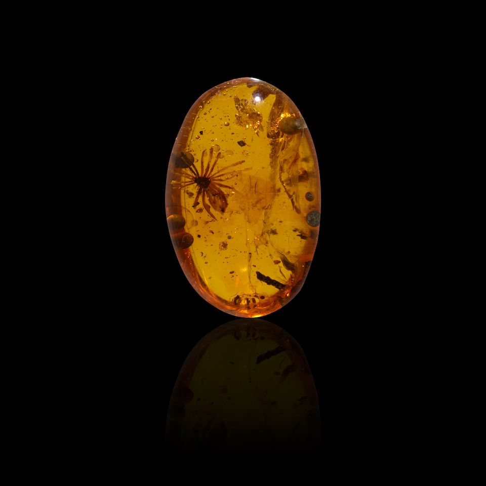 Extinct Scale Insect in Burmite Amber | Barnebys