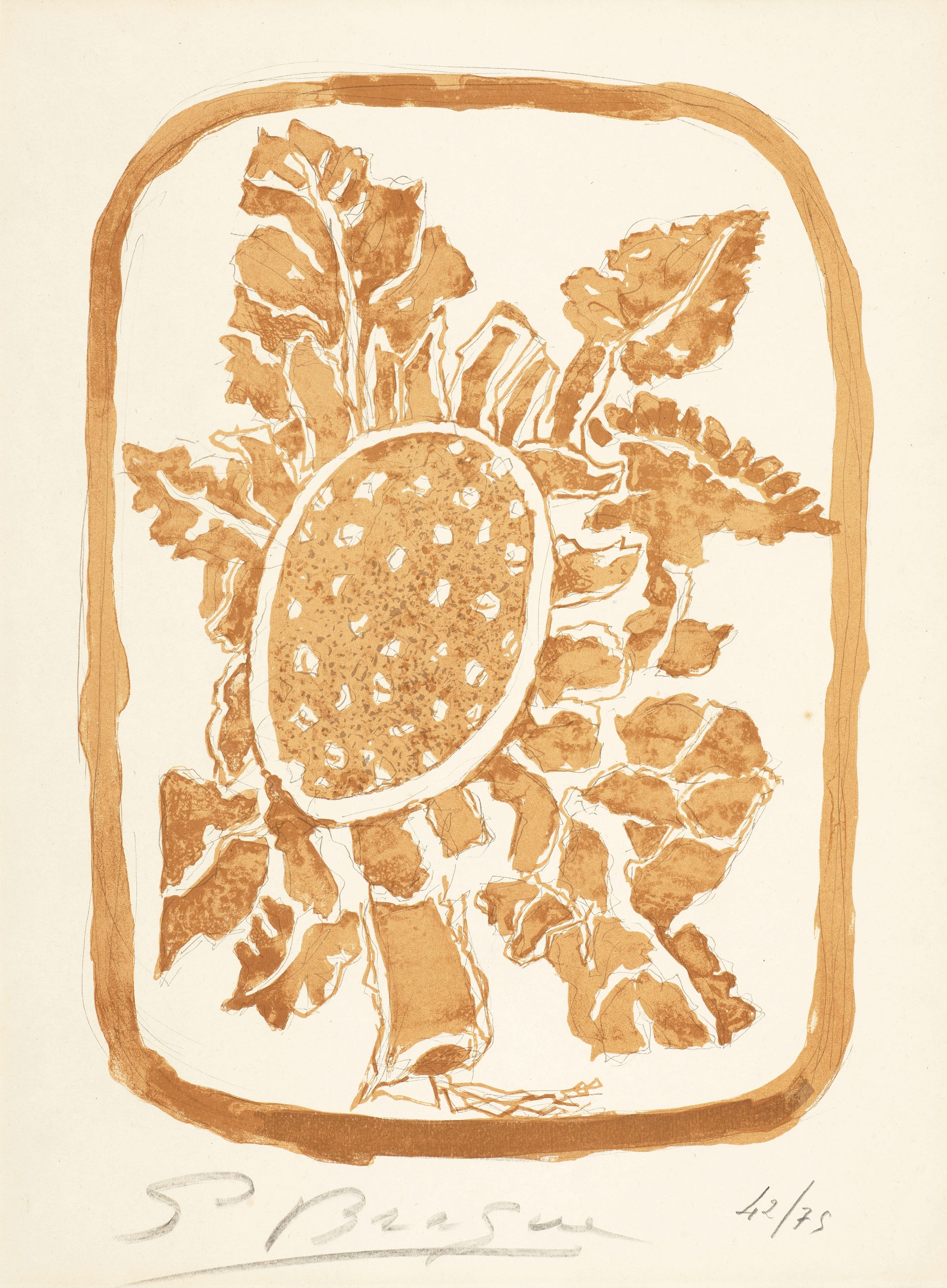Fleurs d'Automne