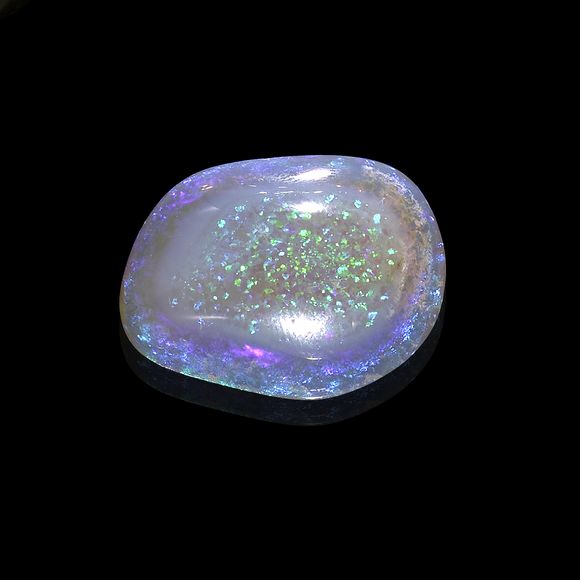 Bonhams Fine, Colorful Opalized Clam Shell