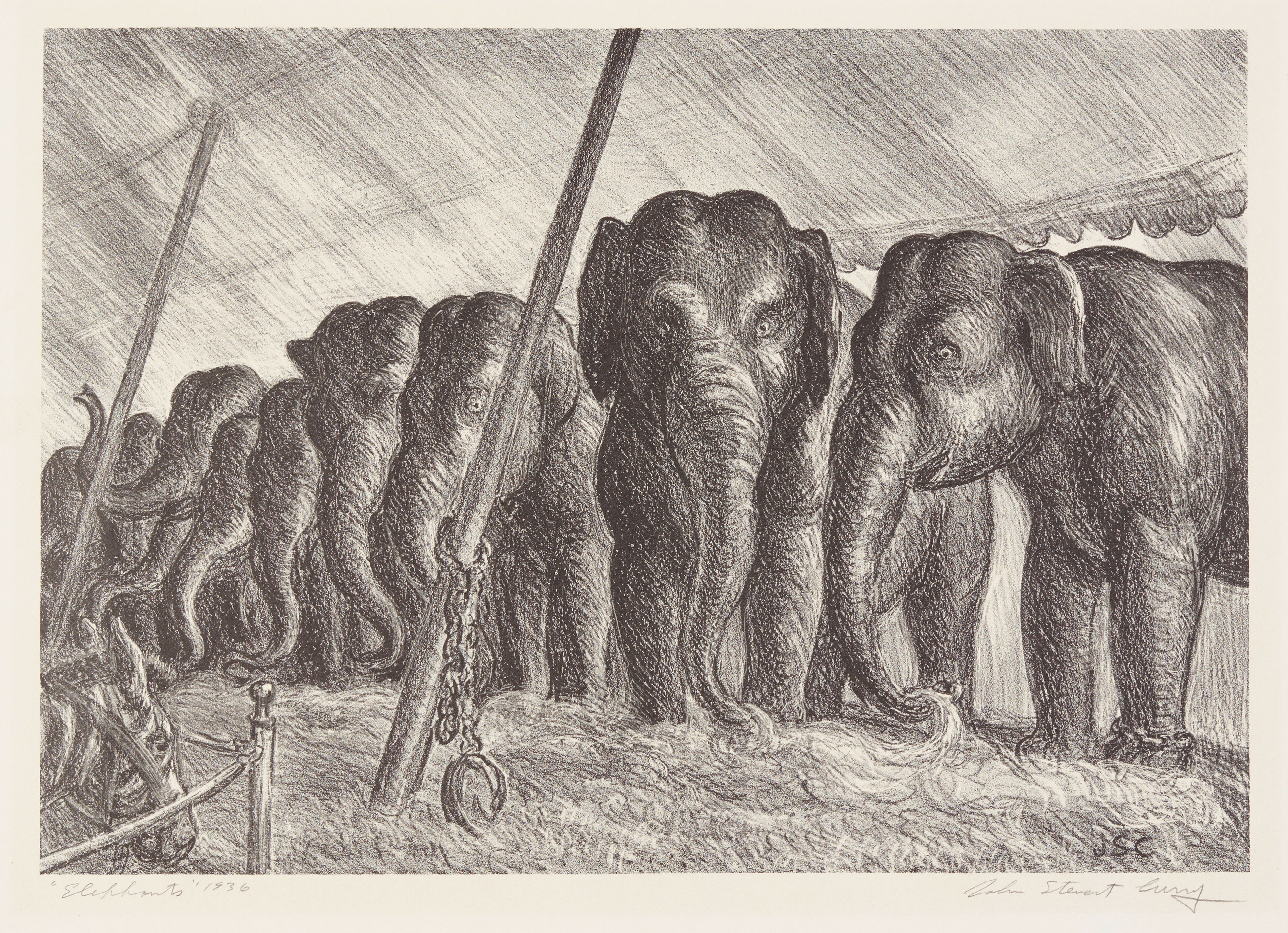 Circus Elephants