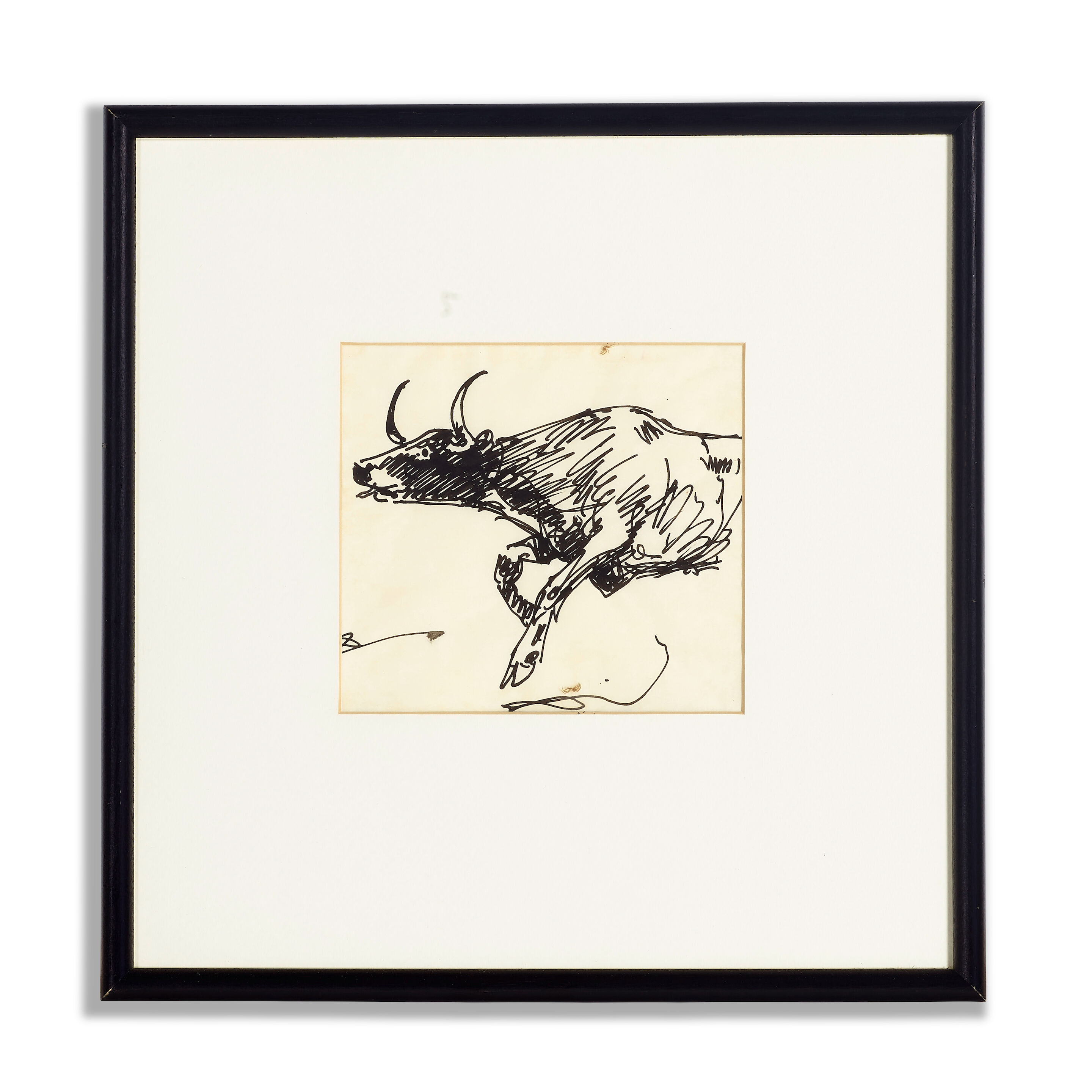 Steer Studies - Thumb 4