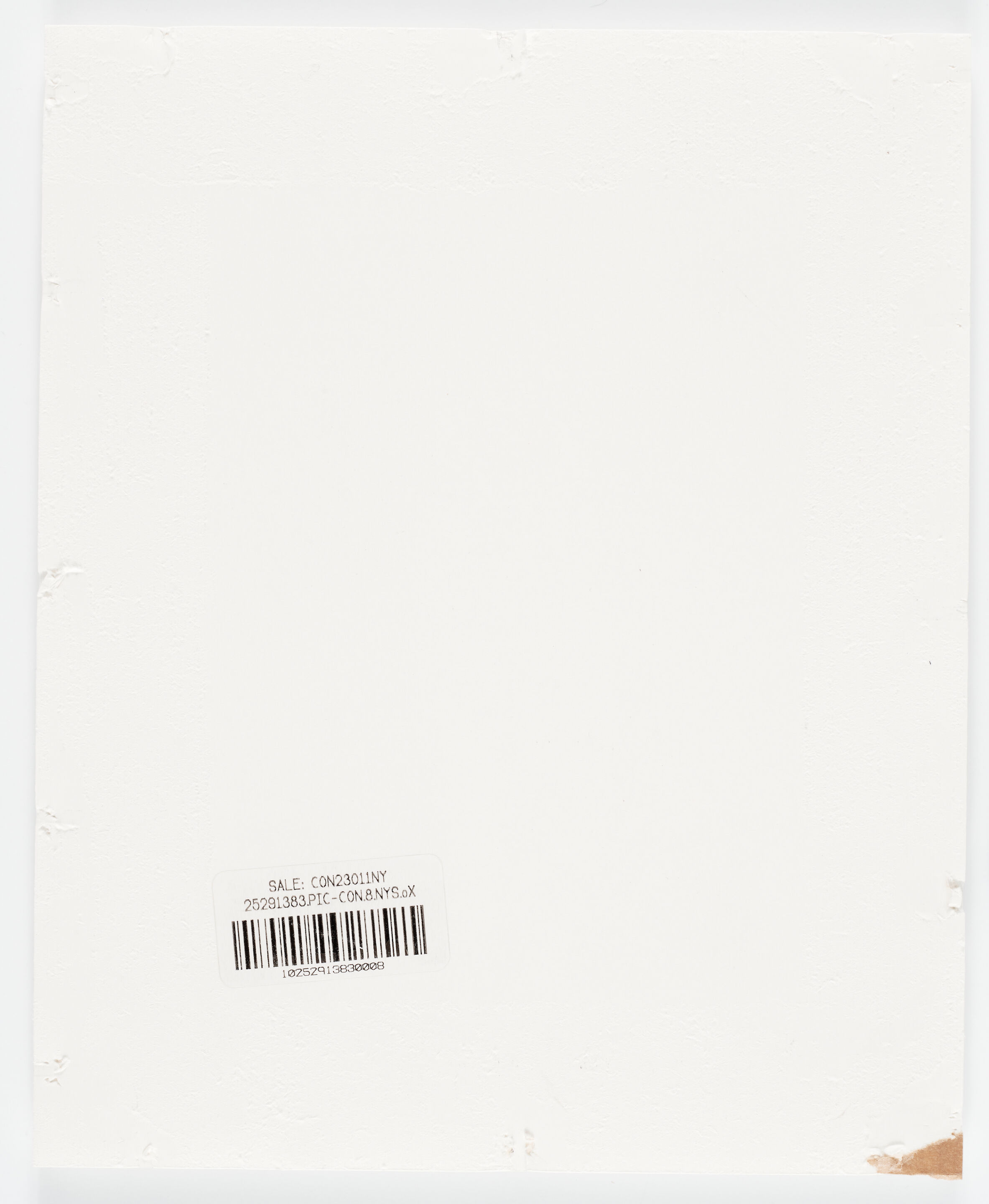 Untitled - Thumb 2