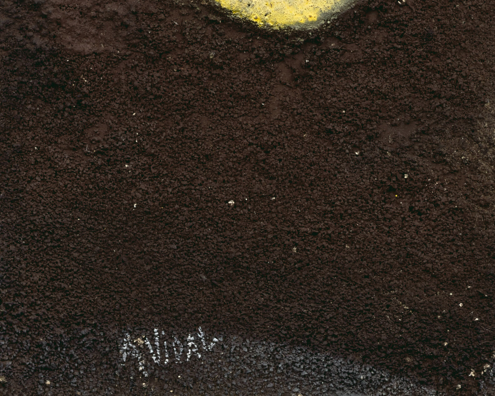 Untitled - Thumb 3