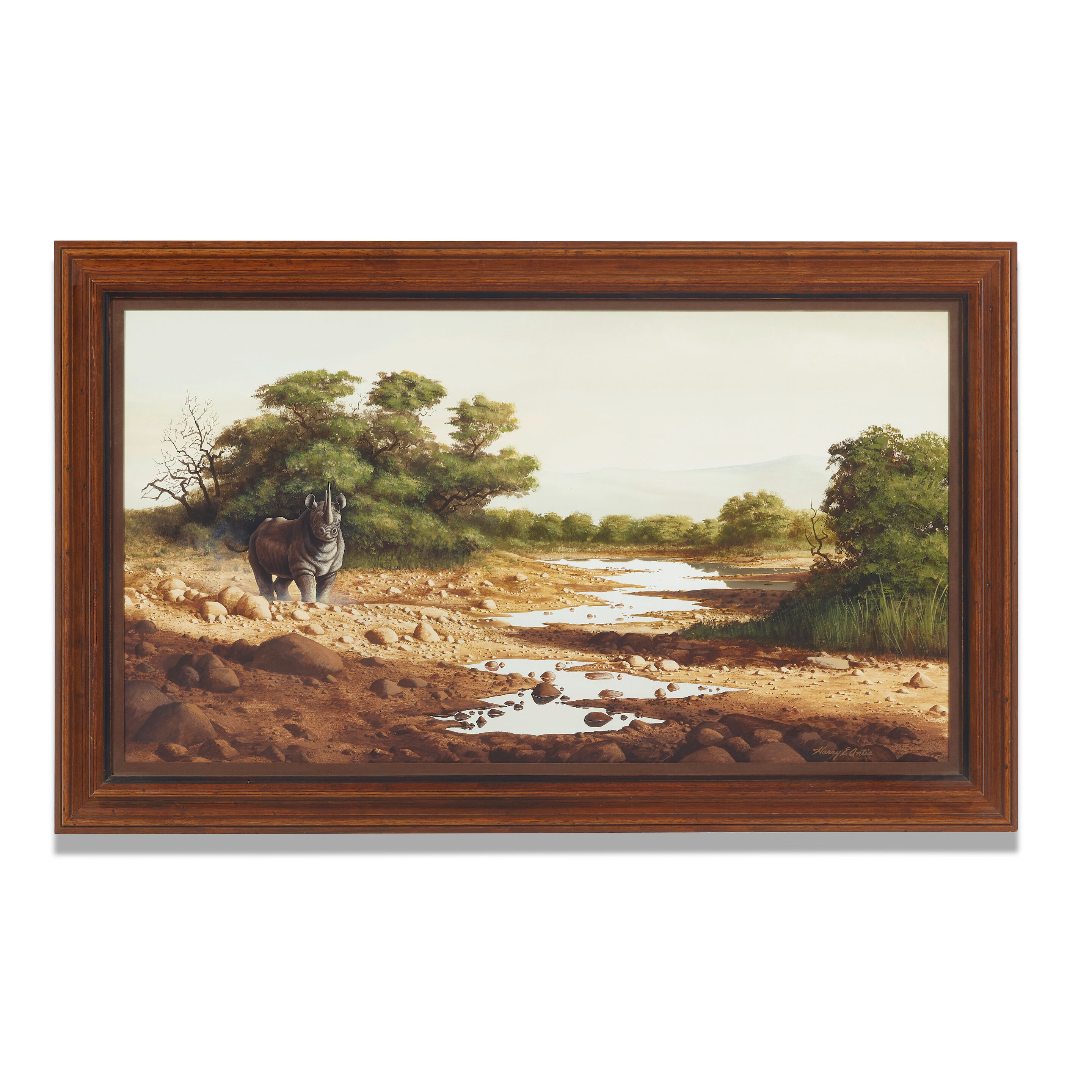 Rhino by a Stream - Thumb 2