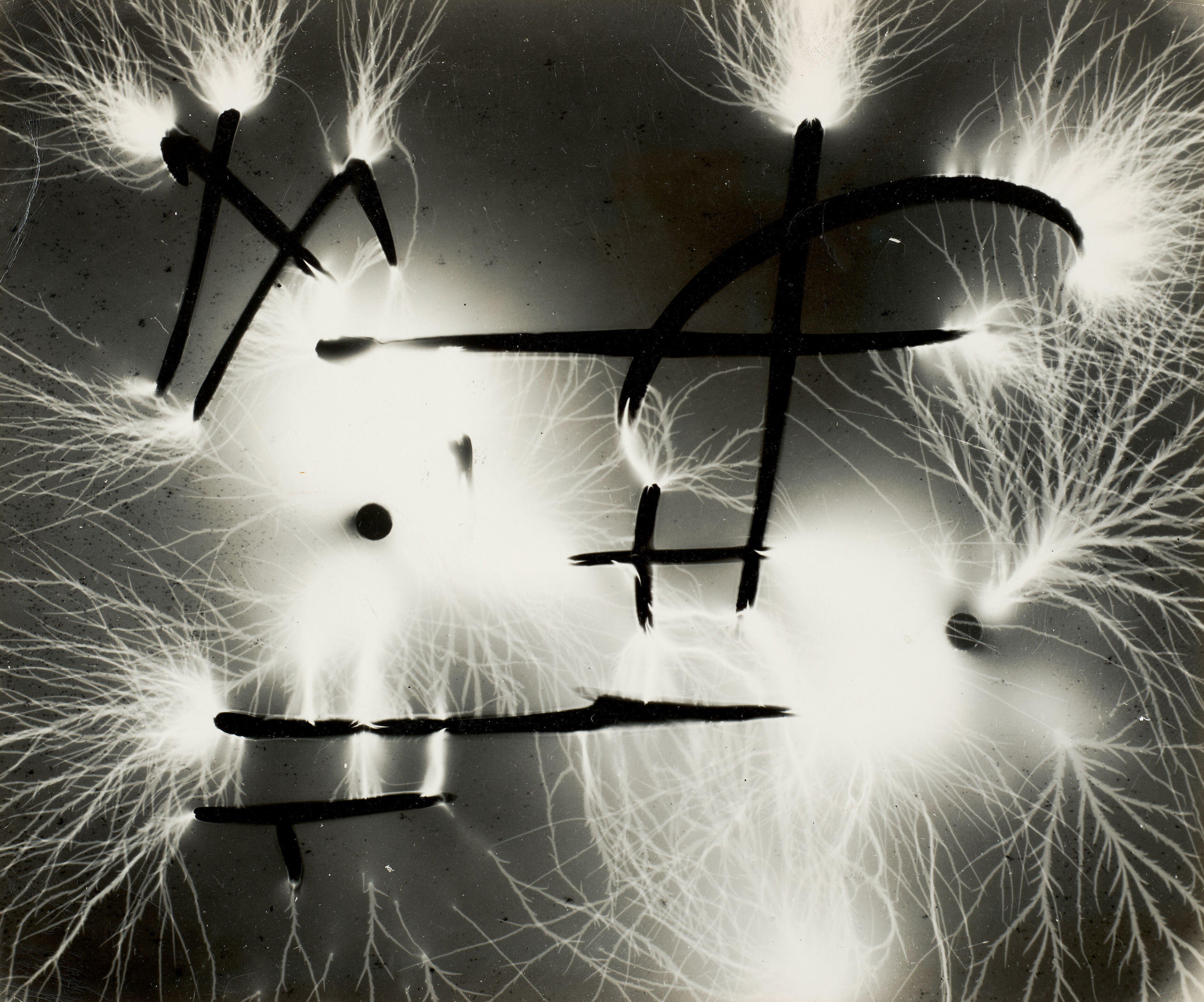 Untitled (Photogram)