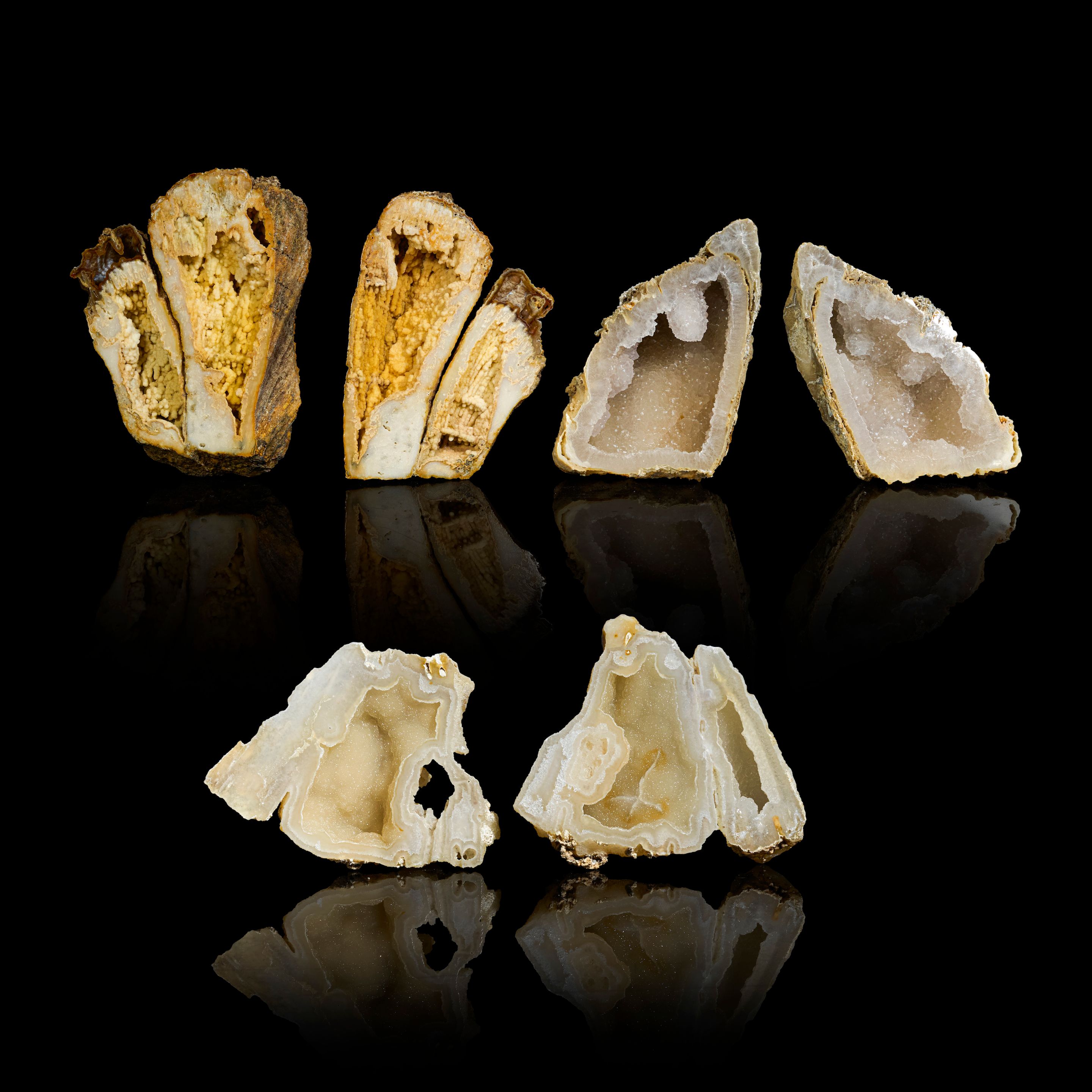 Three Agatized Coral "Splits"