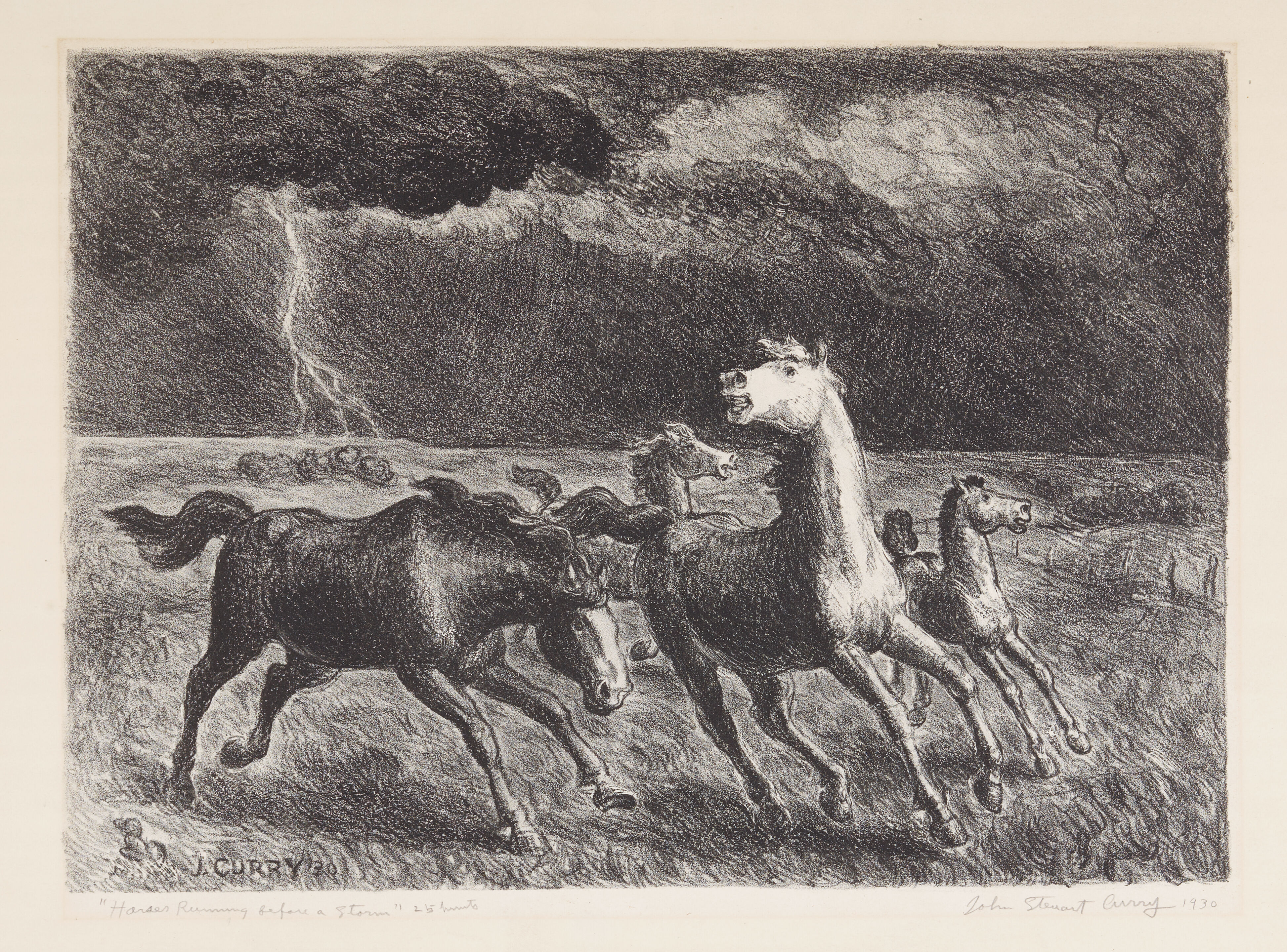 Horses Running Before A Storm