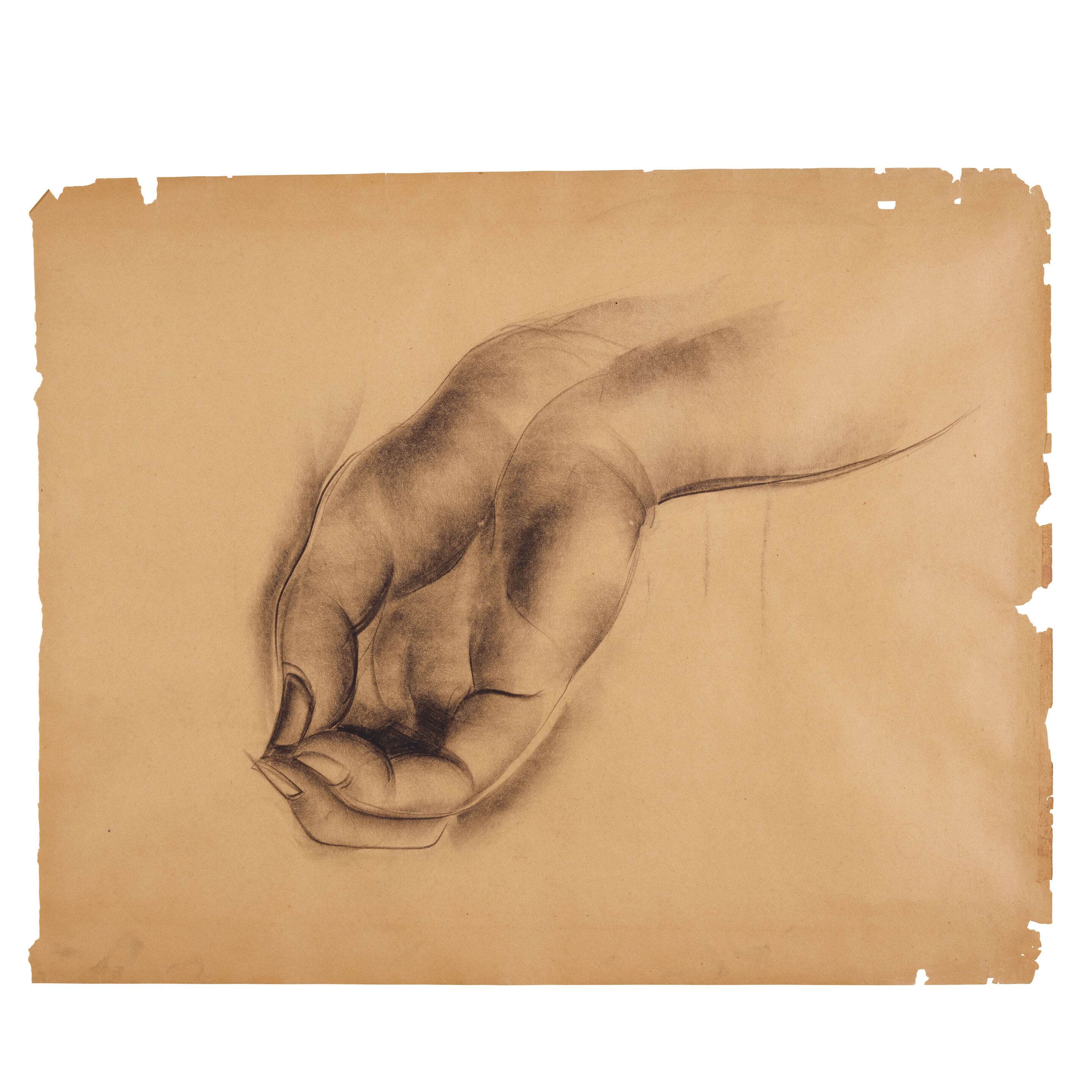 Untitled - Thumb 3