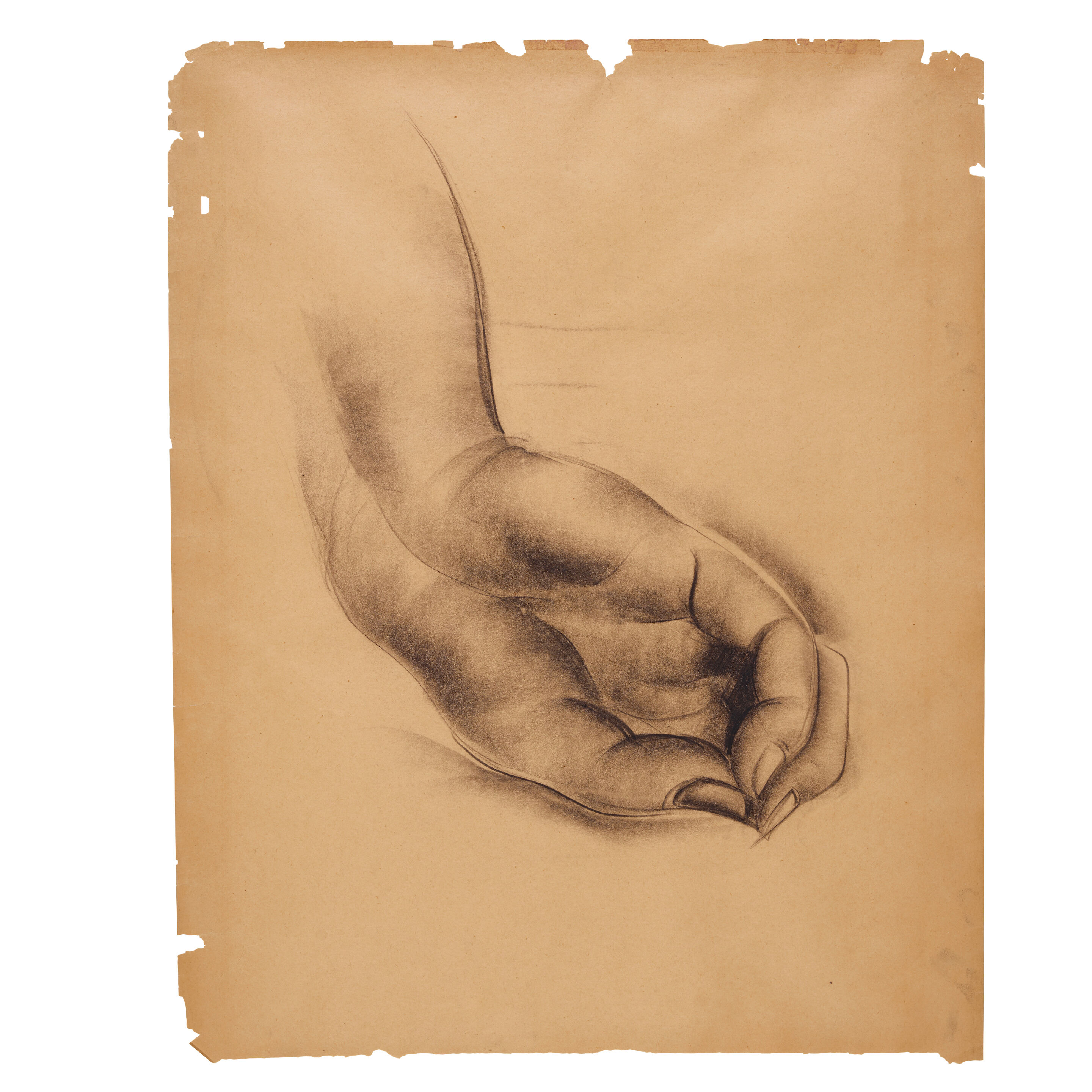 Untitled - Thumb 2