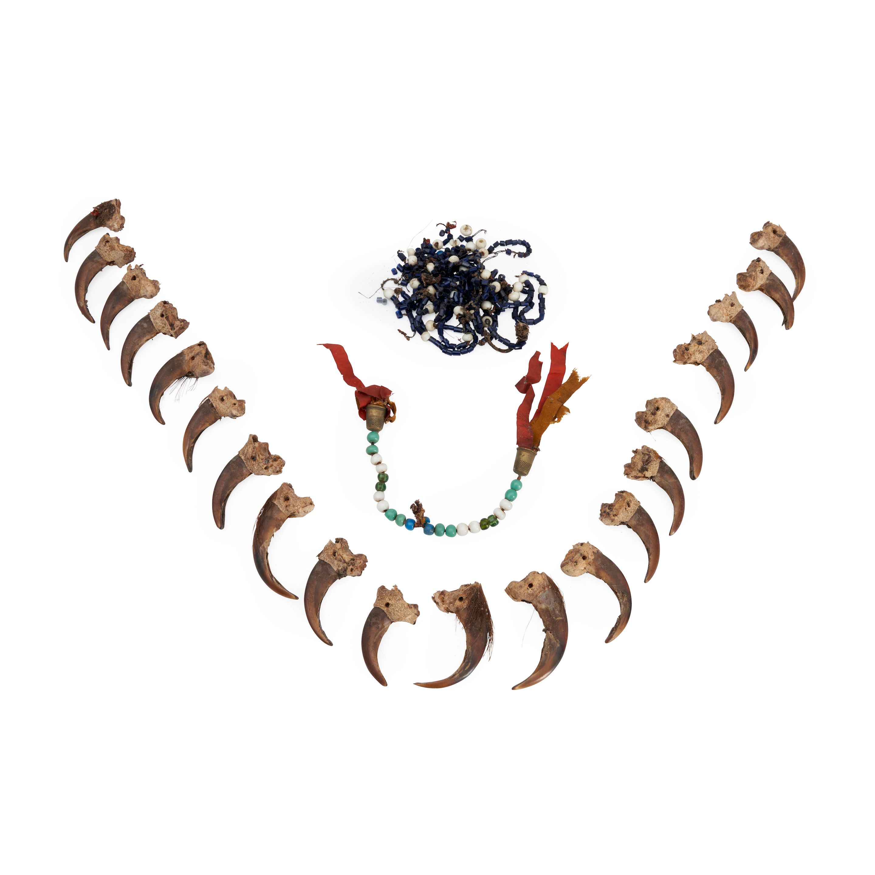 Bonhams Cars A bear claw necklace largest claw lg. 3 1/2 in.