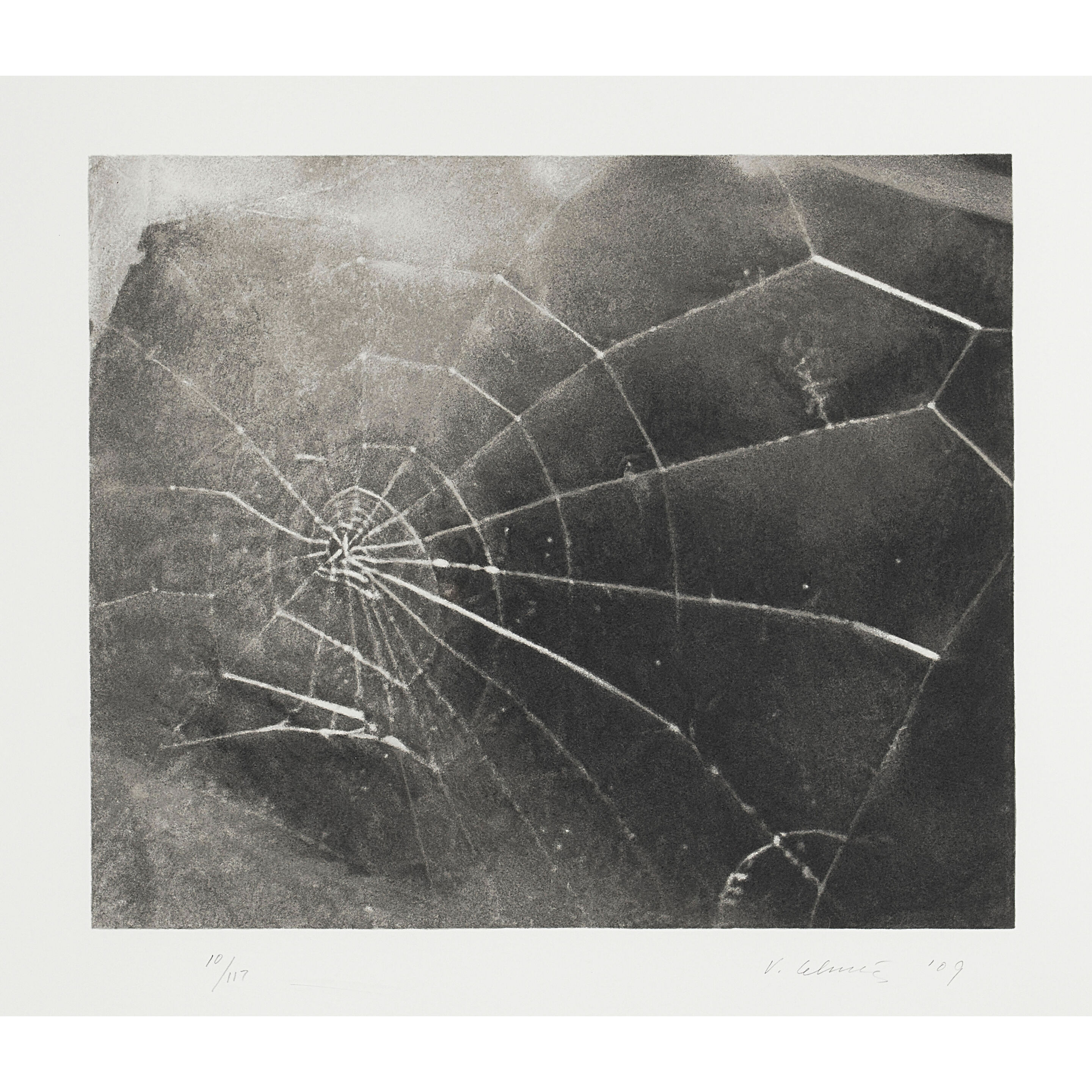 Spider Web