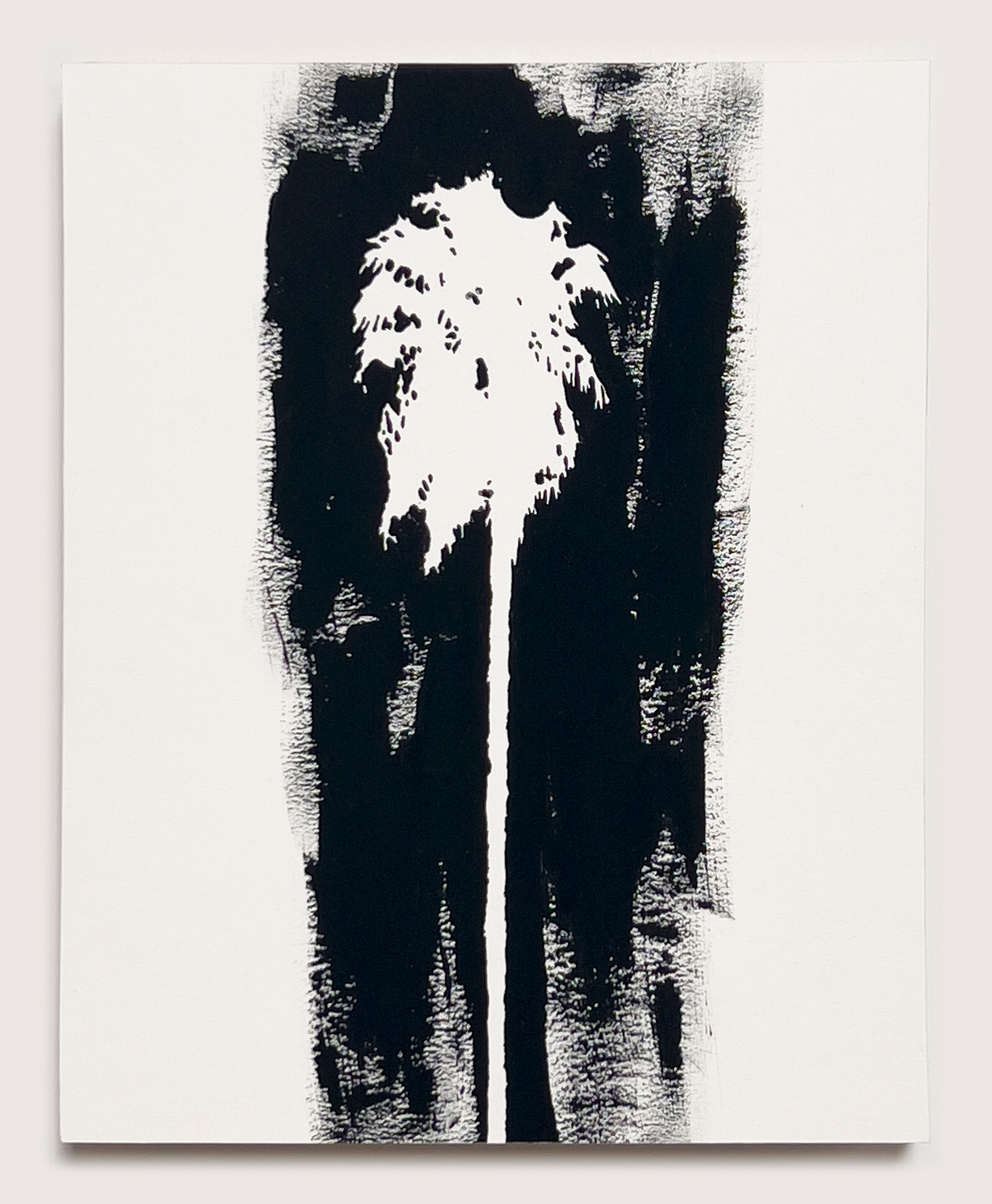 Ghost Tree (2)