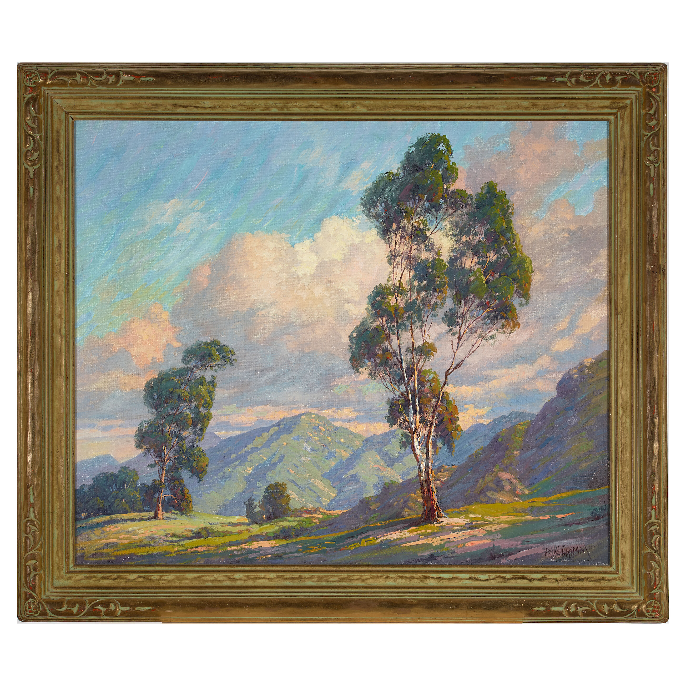 Eucalyptus and Clouds - Thumb 2