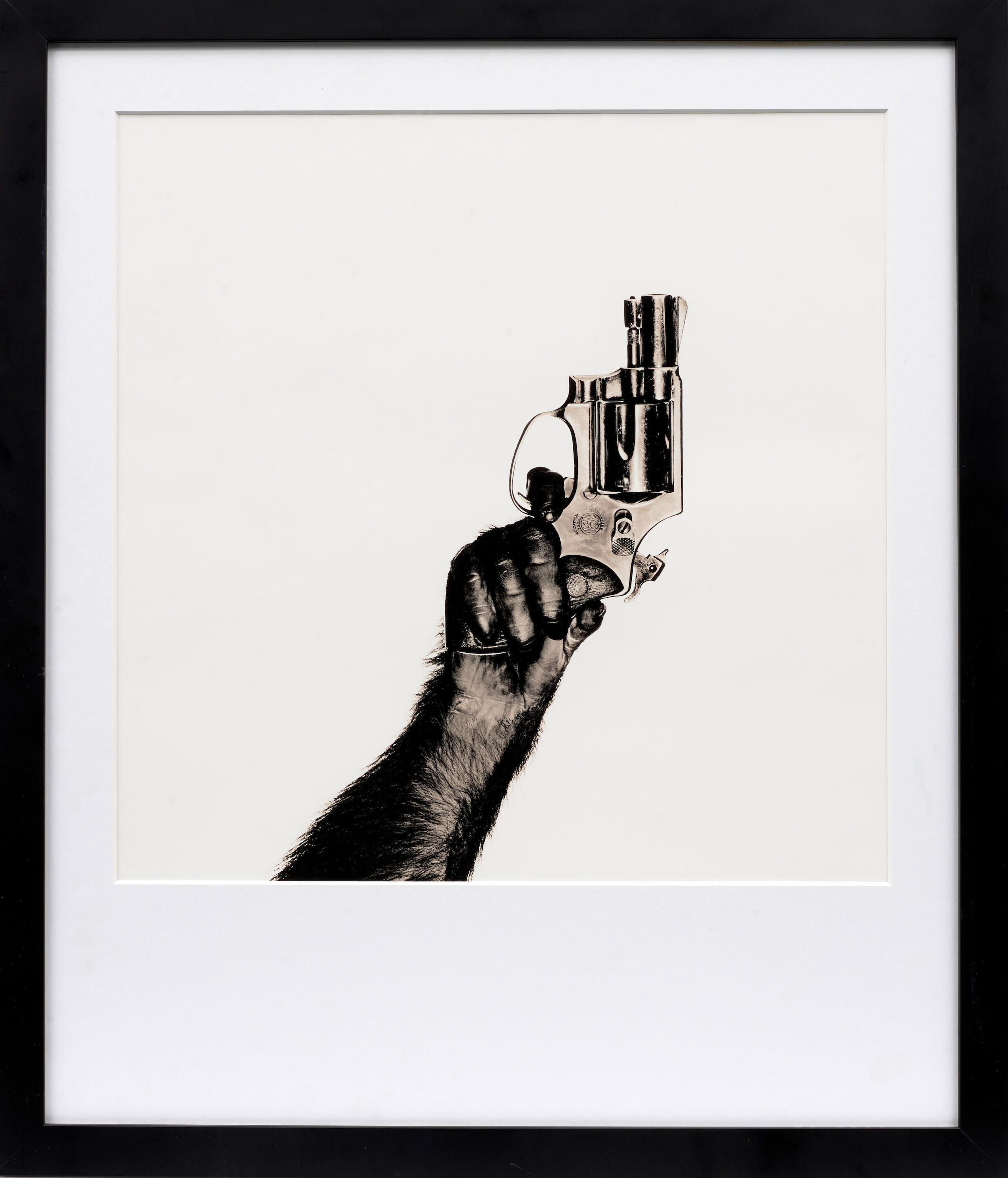 Monkey with Gun - Thumb 2