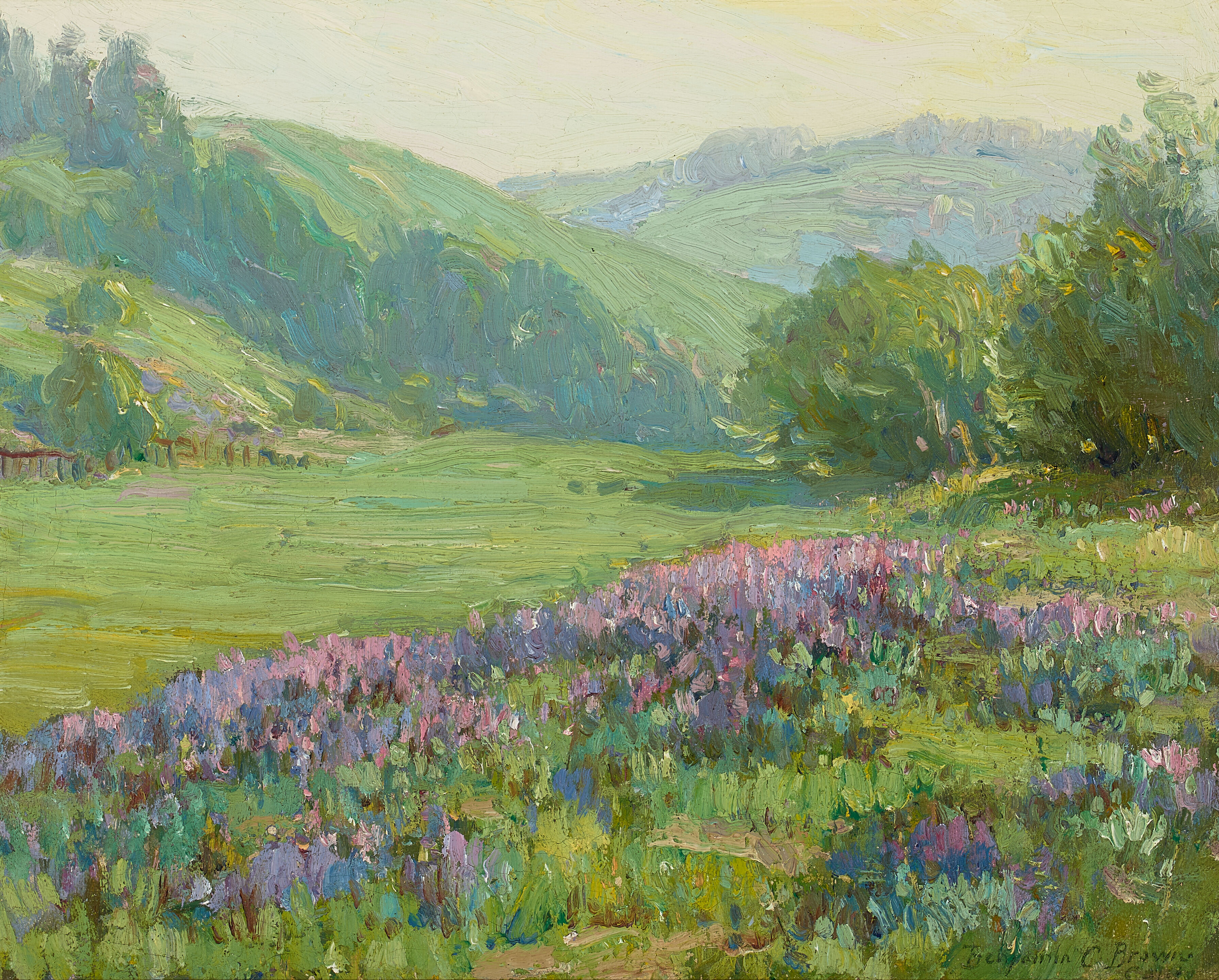 The Lupine Patch