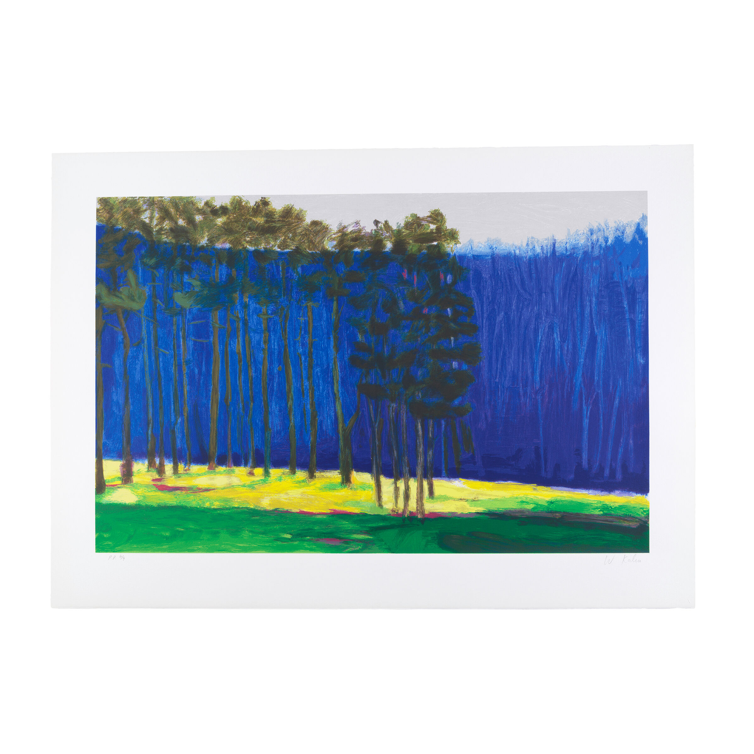 Dark Pines