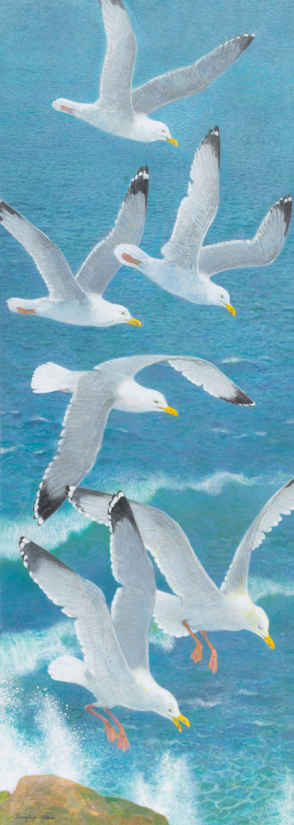 Seagulls