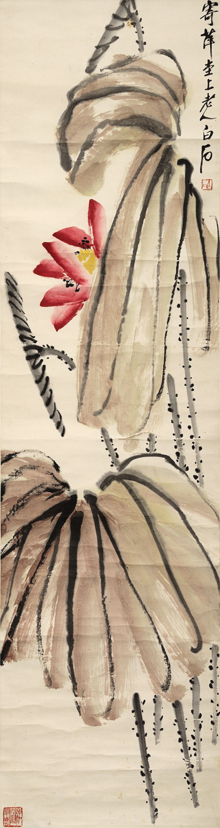 Lotus