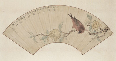 Artist Unknown, Bird and Finger Citron Japan, 19th/20th century