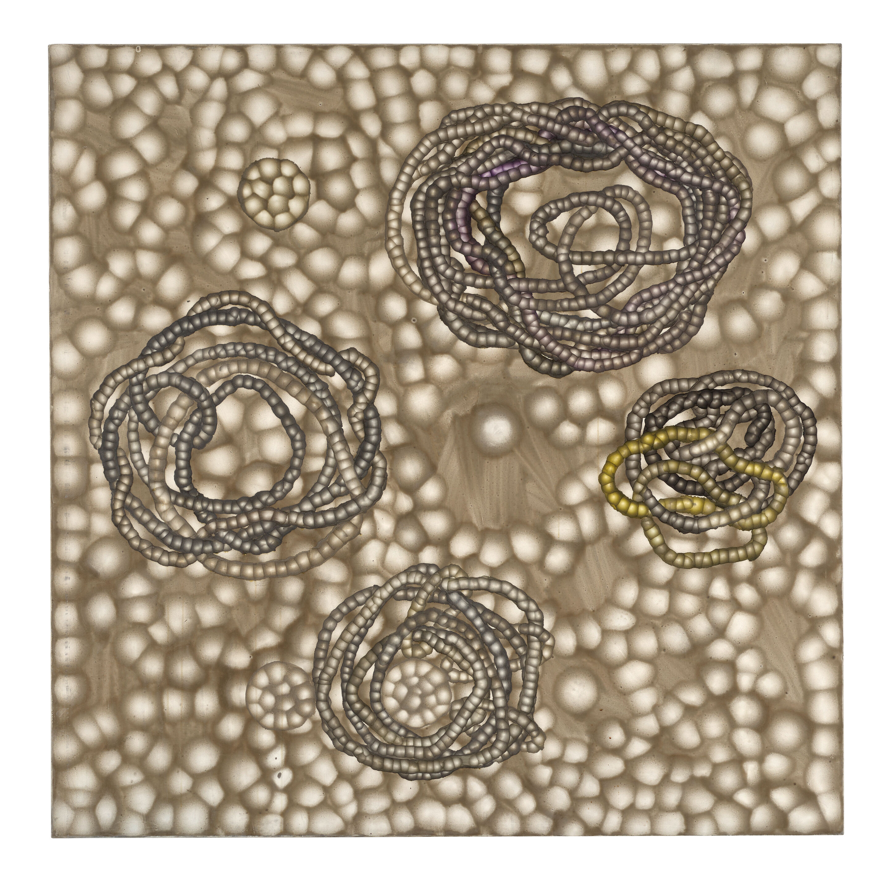 Banding Patterns