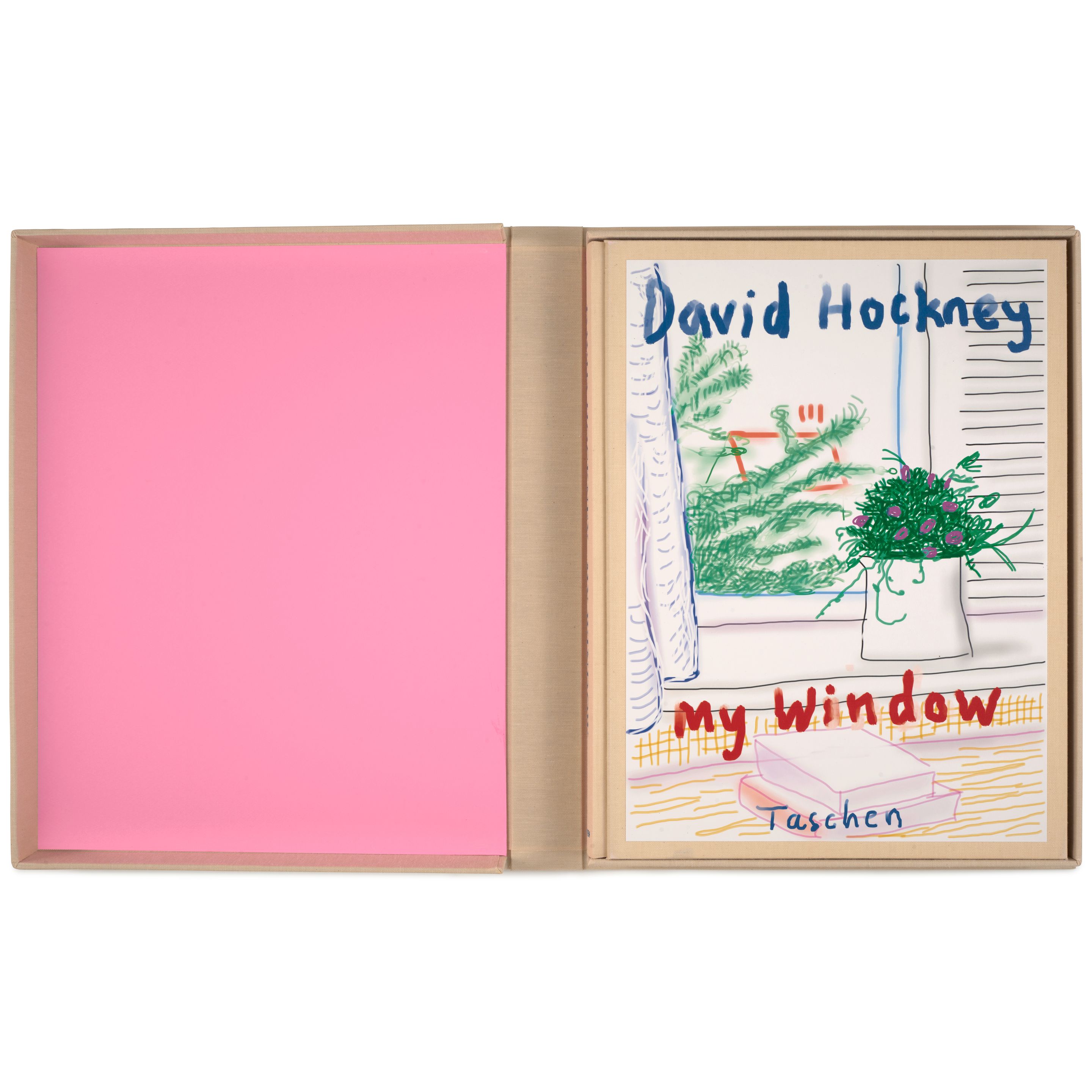 My Window