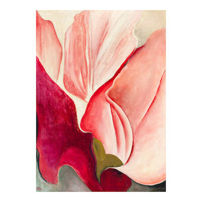 VIRGINIA TRUE (1900-1989) Flower (Cyclamen) 24 x 17 1/2 in.
