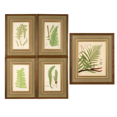 Henry Bradbury and Another, A Group of Five Botanical Prints 19th century