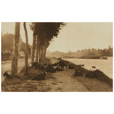 Alfred Stieglitz (1864-1946); Goats Along the Seine