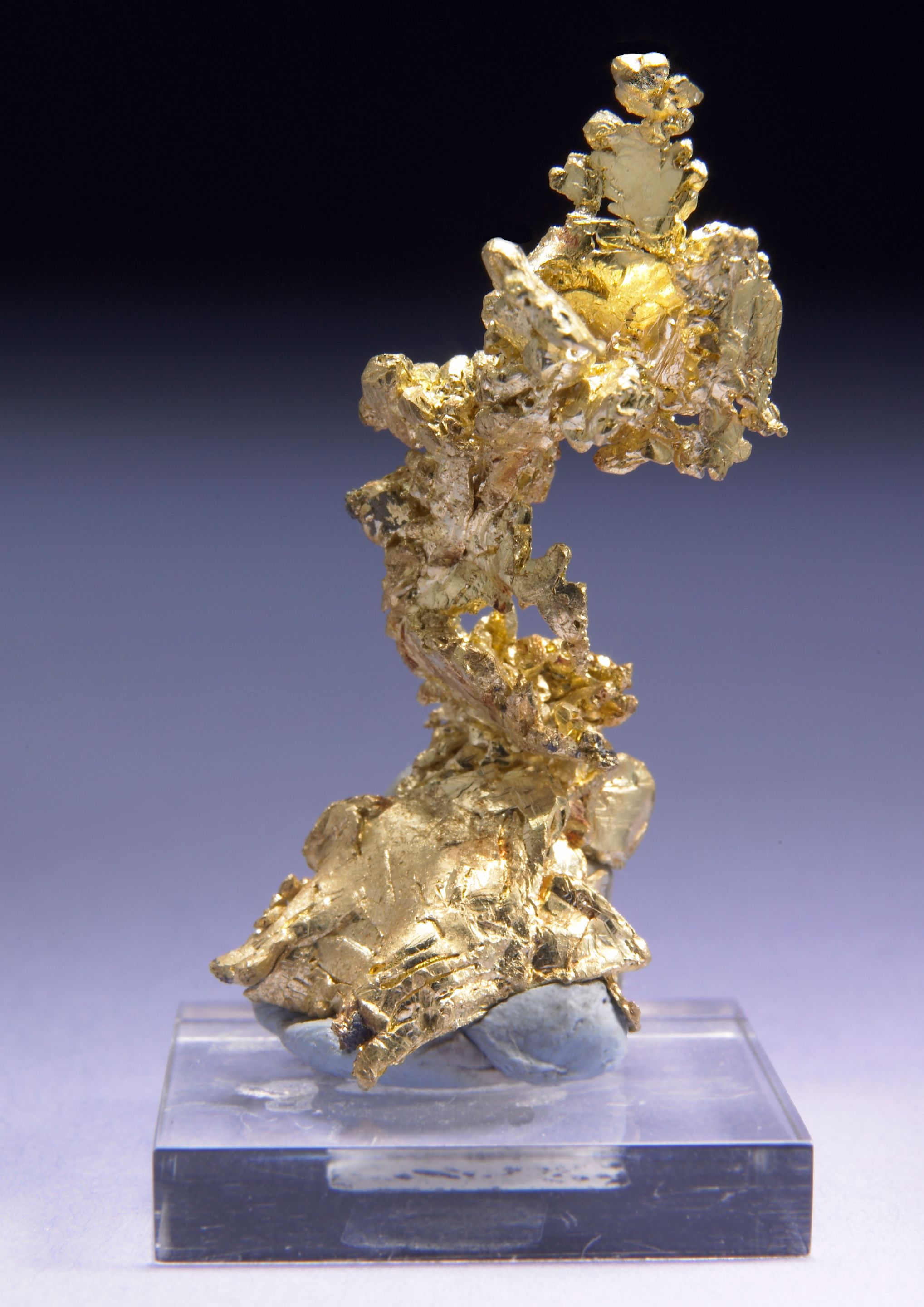 Gold