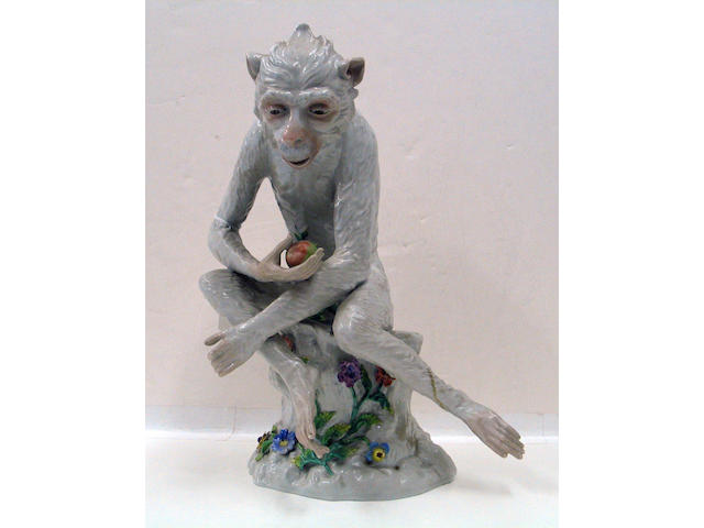 A Dresden porcelain model of a monkey