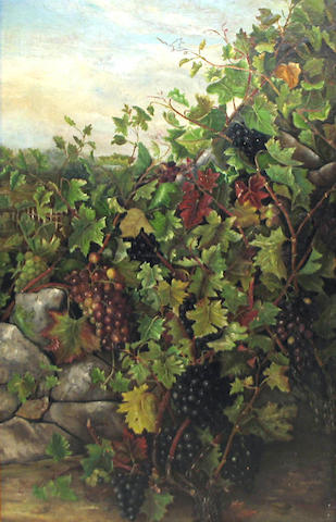 G.M. Towne (American 19th/20th century) Grapevines over Rocks, 1885 45 x 26 1/4in