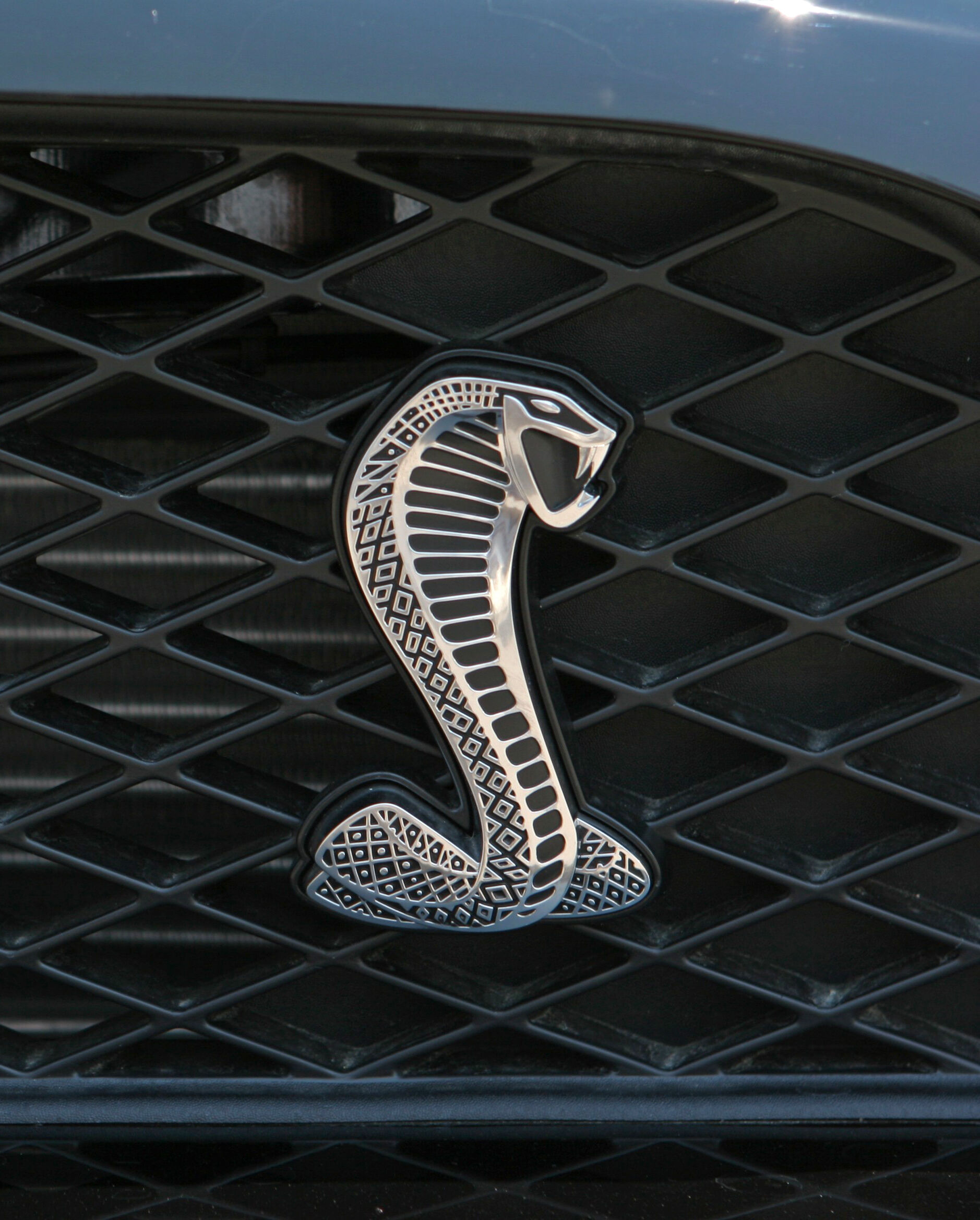 Bonhams By Appointment Of The Henry Ford Donated By Jennifer And David Fischer With Proceeds To Benefit The Henry Ford 2007 Ford Shelby Cobra Gt500 Convertible The 18th Off The Line Signed ford king cobra for sale on Bonhams By Appointment Of The Henry Ford Donated By Jennifer And David Fischer With Proceeds To Benefit The Henry Ford 2007 Ford Shelby Cobra Gt500 Convertible The 18th Off The Line Signed